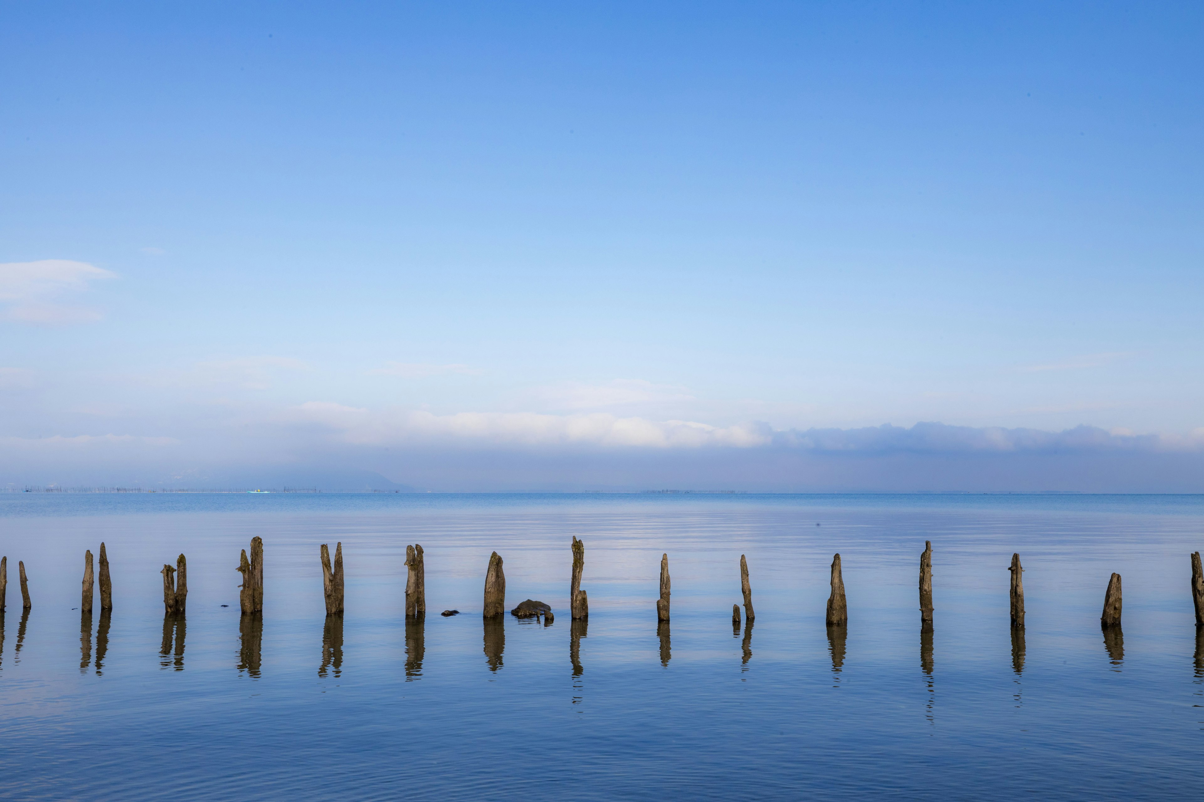 Una escena tranquila con postes de madera en el agua calma bajo un cielo azul