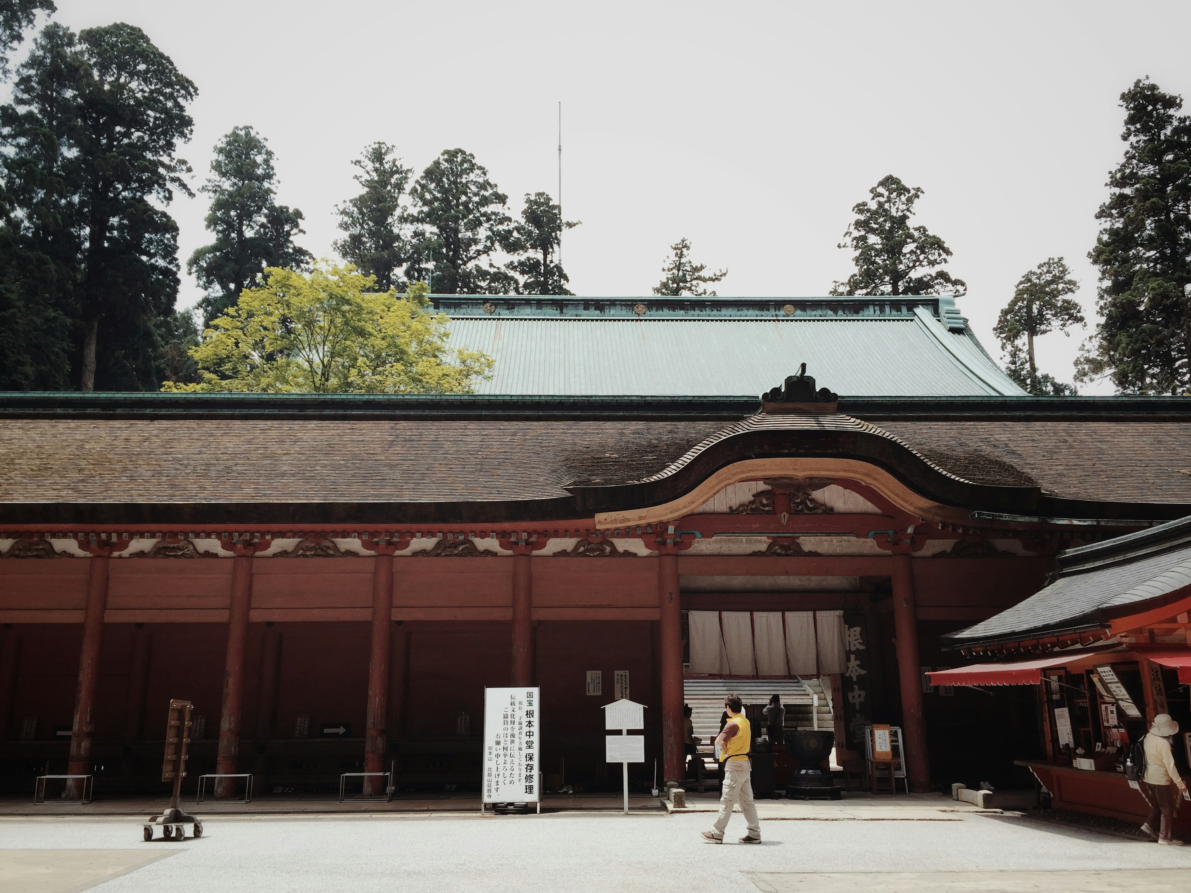 美しい神社の建物が見える庭園の景色