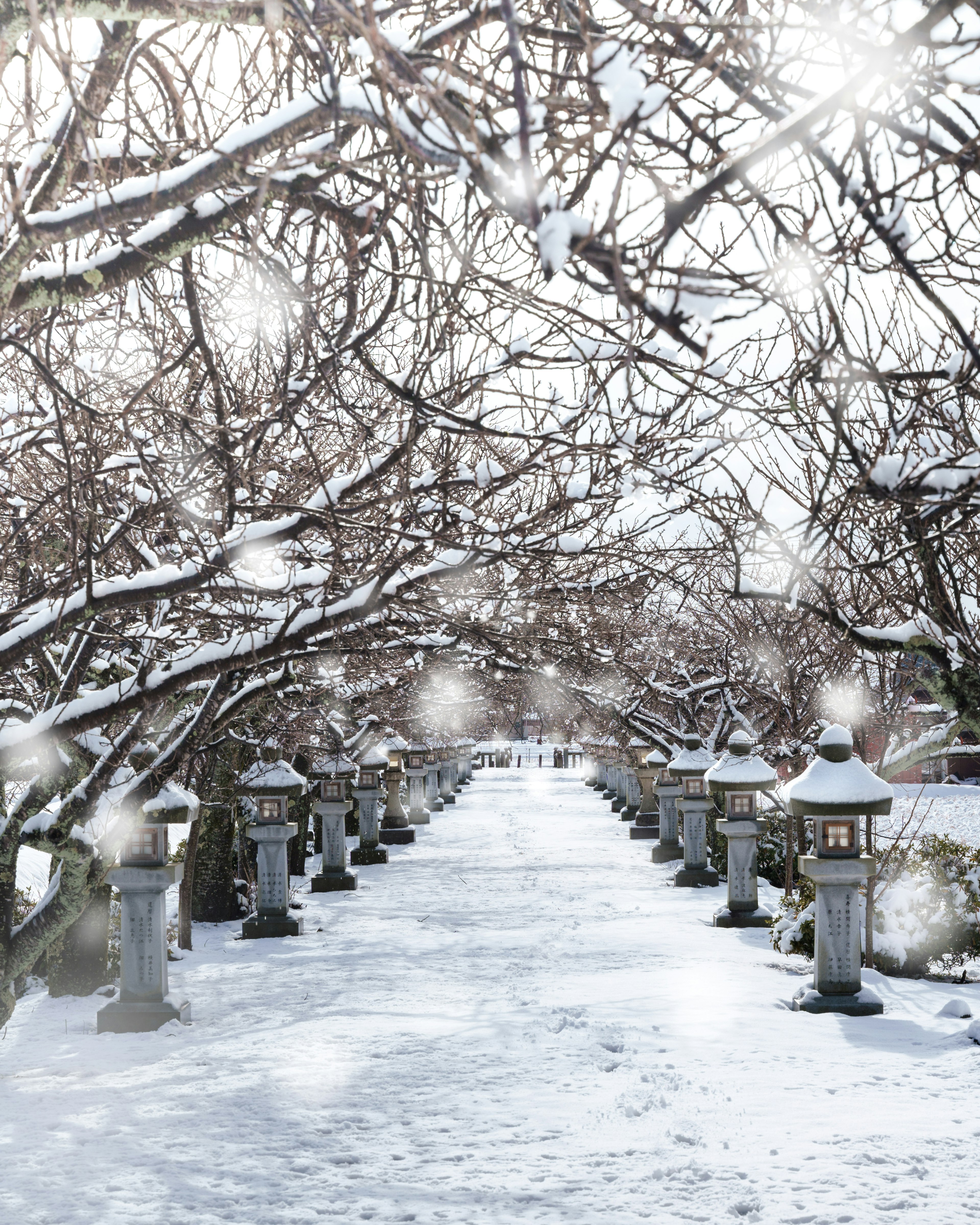 Chemin enneigé avec des lanternes en pierre bordant un paysage d'hiver