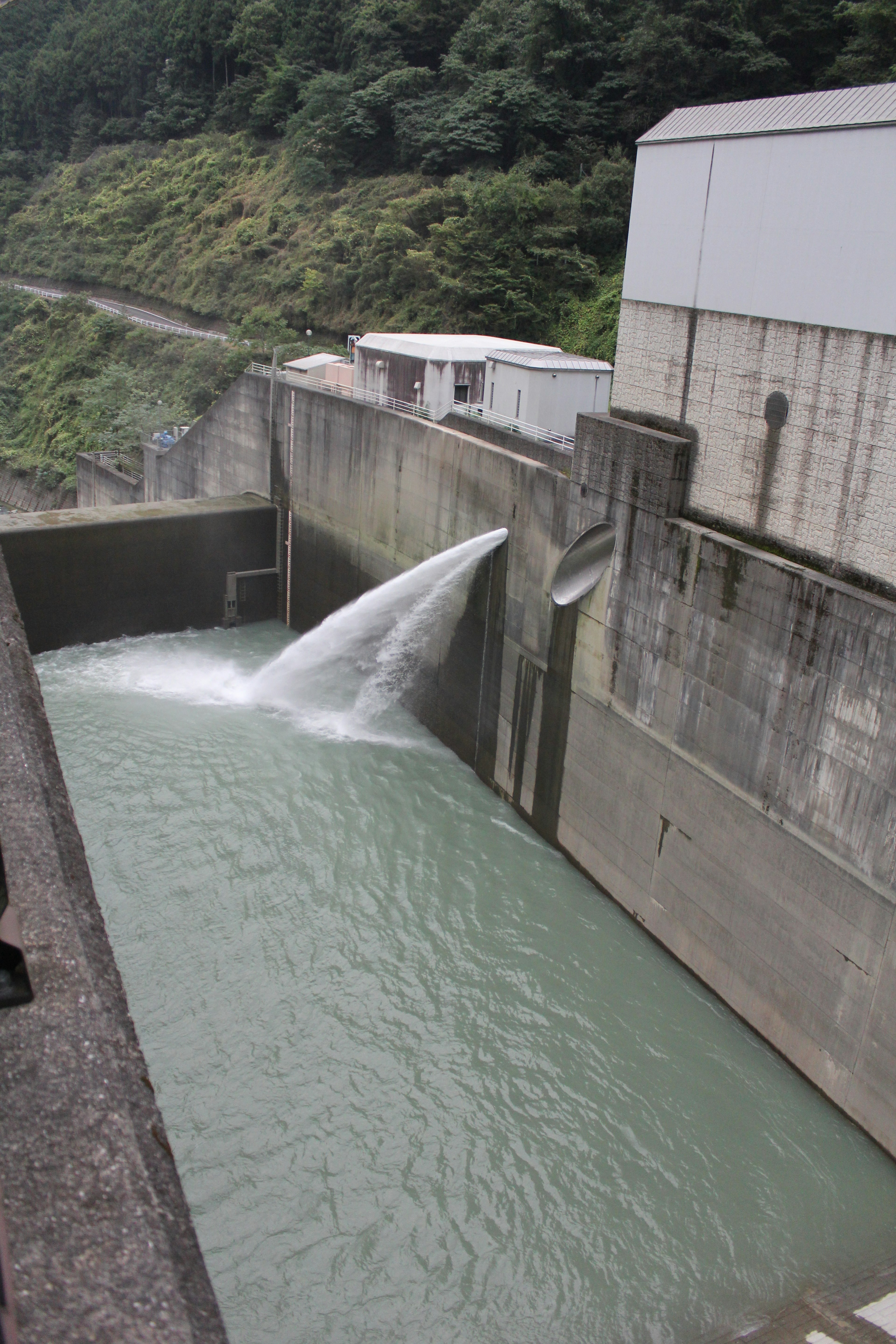 Water flowing from a dam with surrounding greenery