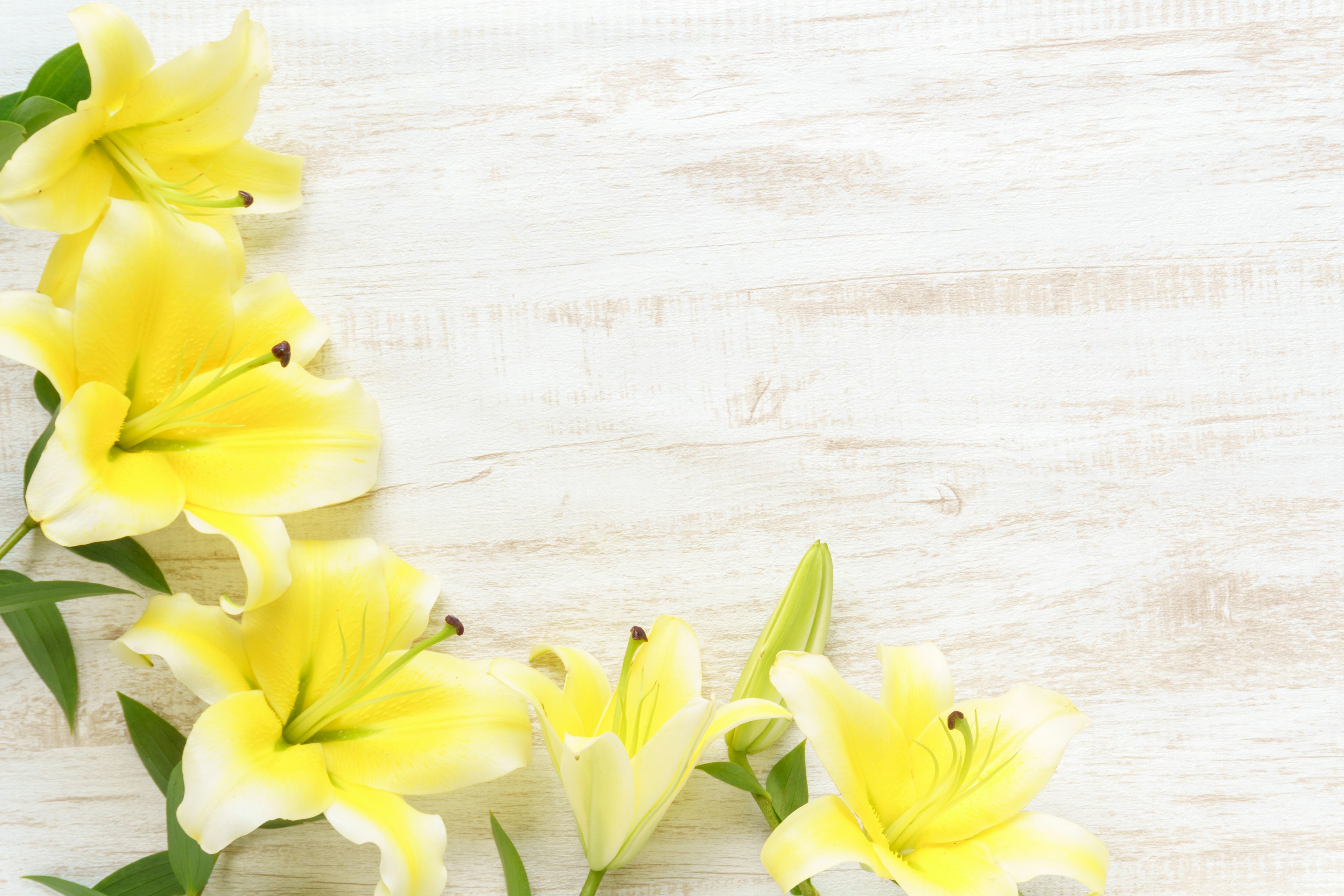 Yellow lilies arranged on a wooden surface