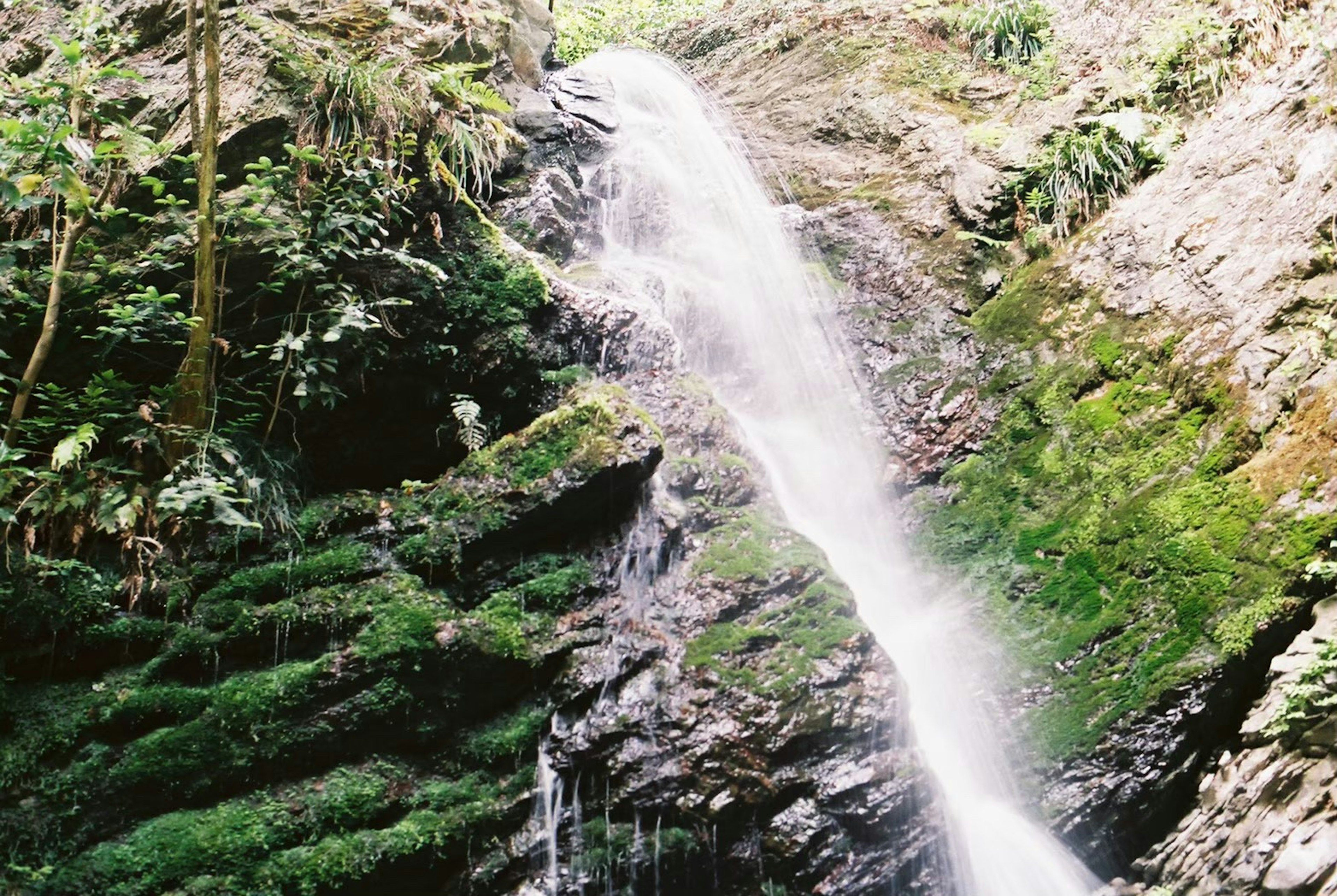 緑豊かな山の中に流れる滝の美しい景色