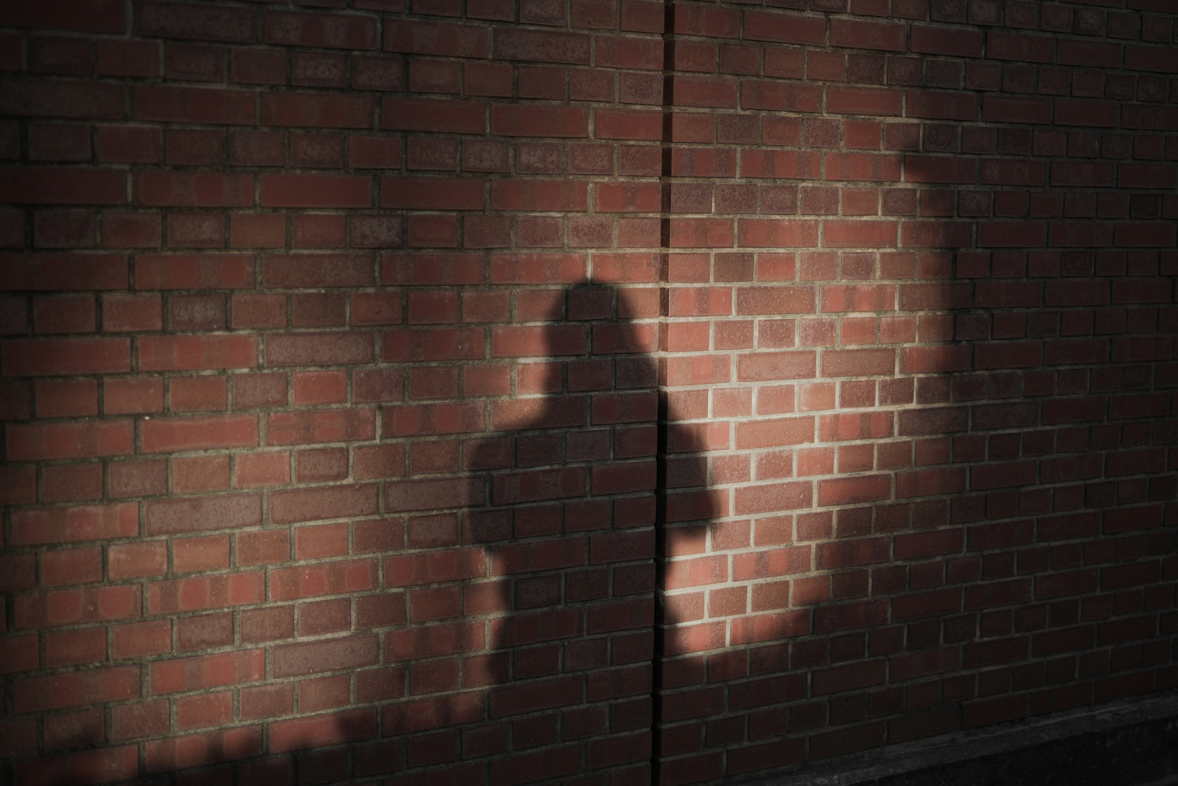 Ombre d'une personne projetée sur un mur en briques