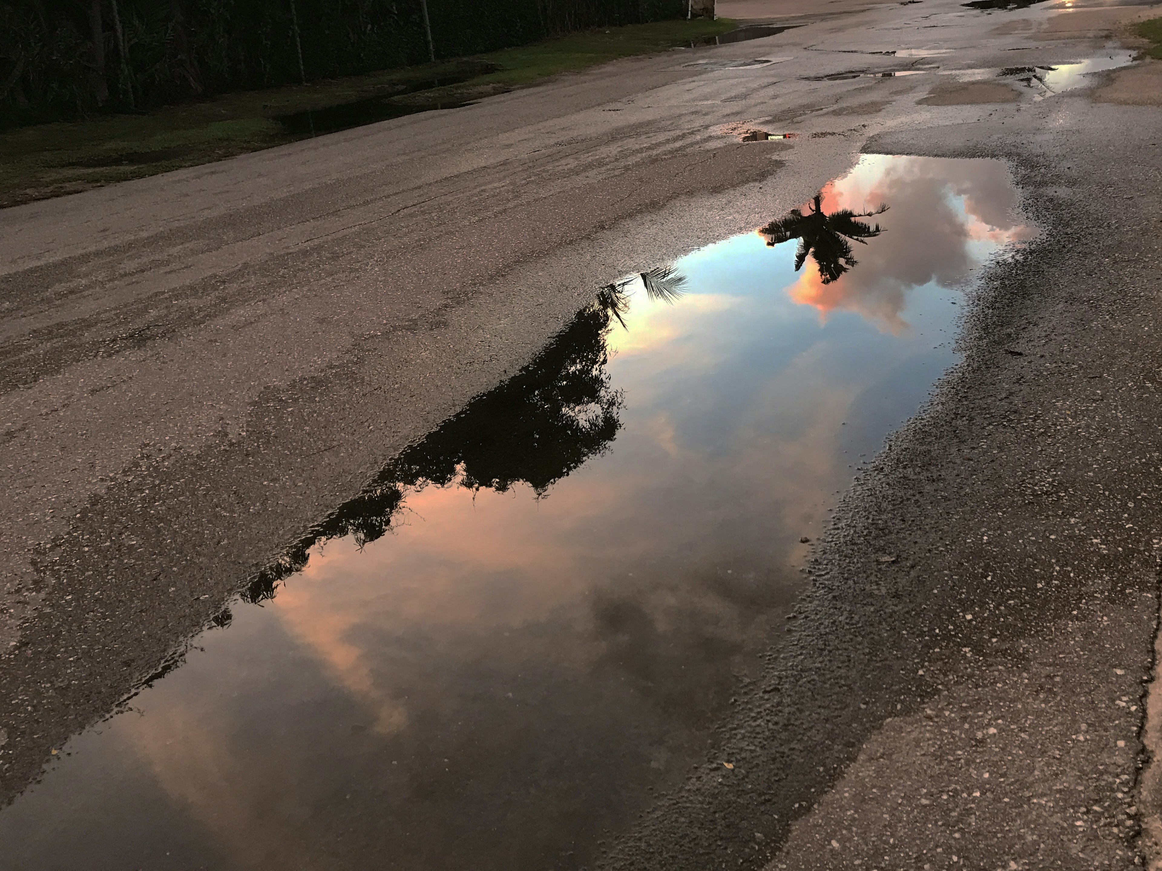 Reflection of sunset sky and trees in a puddle