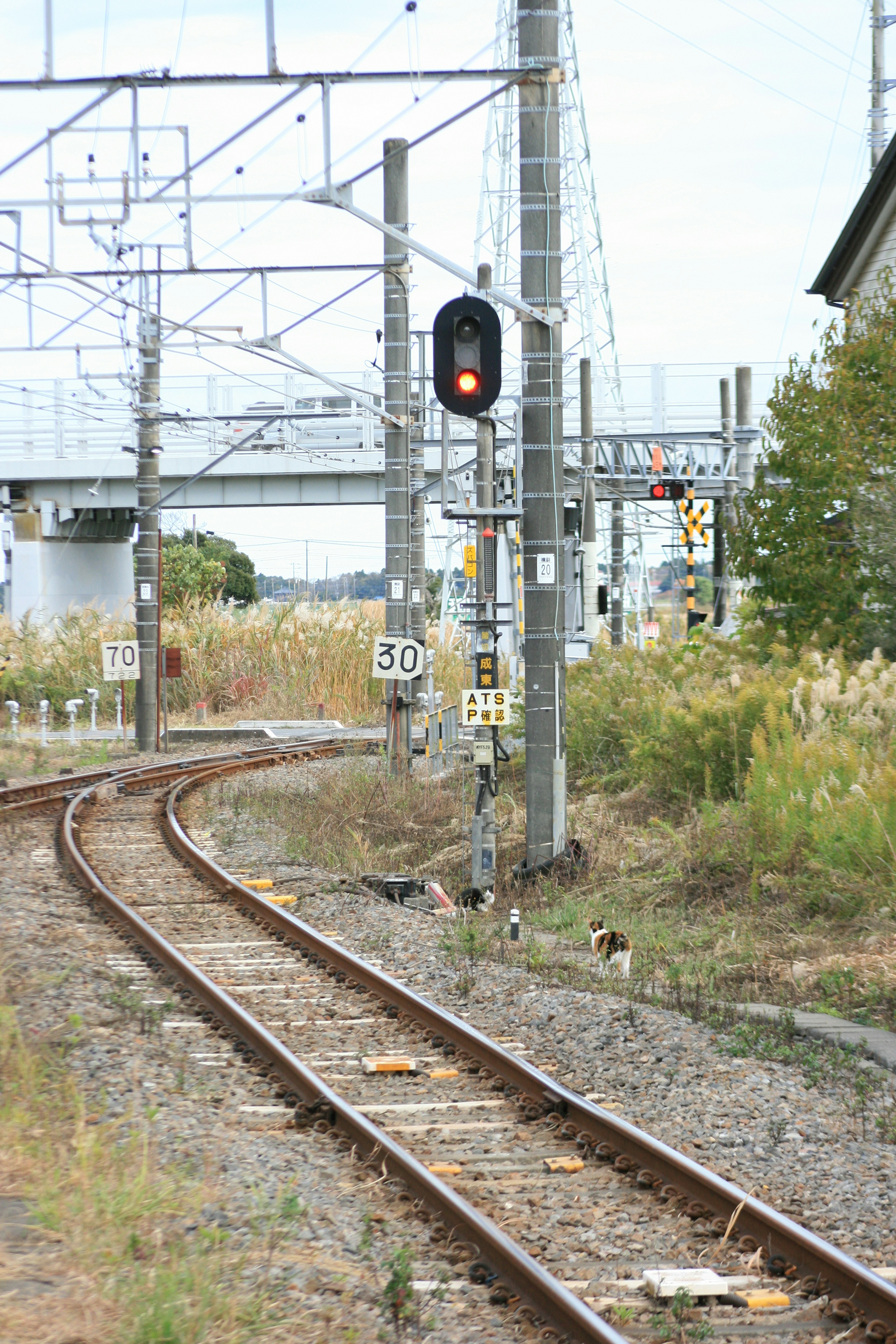 ทิวทัศน์ทางรถไฟโค้งพร้อมสัญญาณไฟแดงและป้ายที่มองเห็นได้