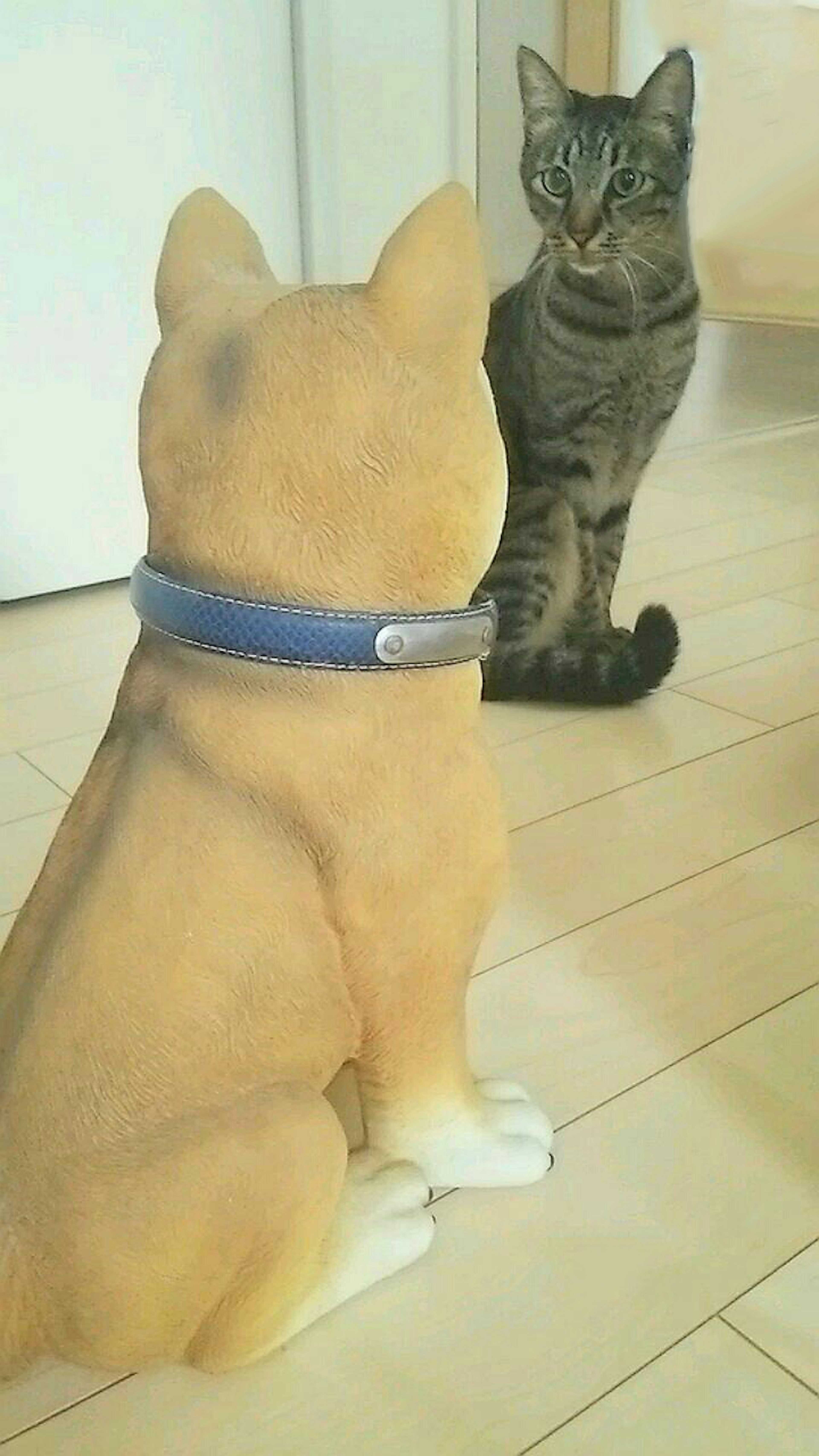 A cat staring at a dog statue