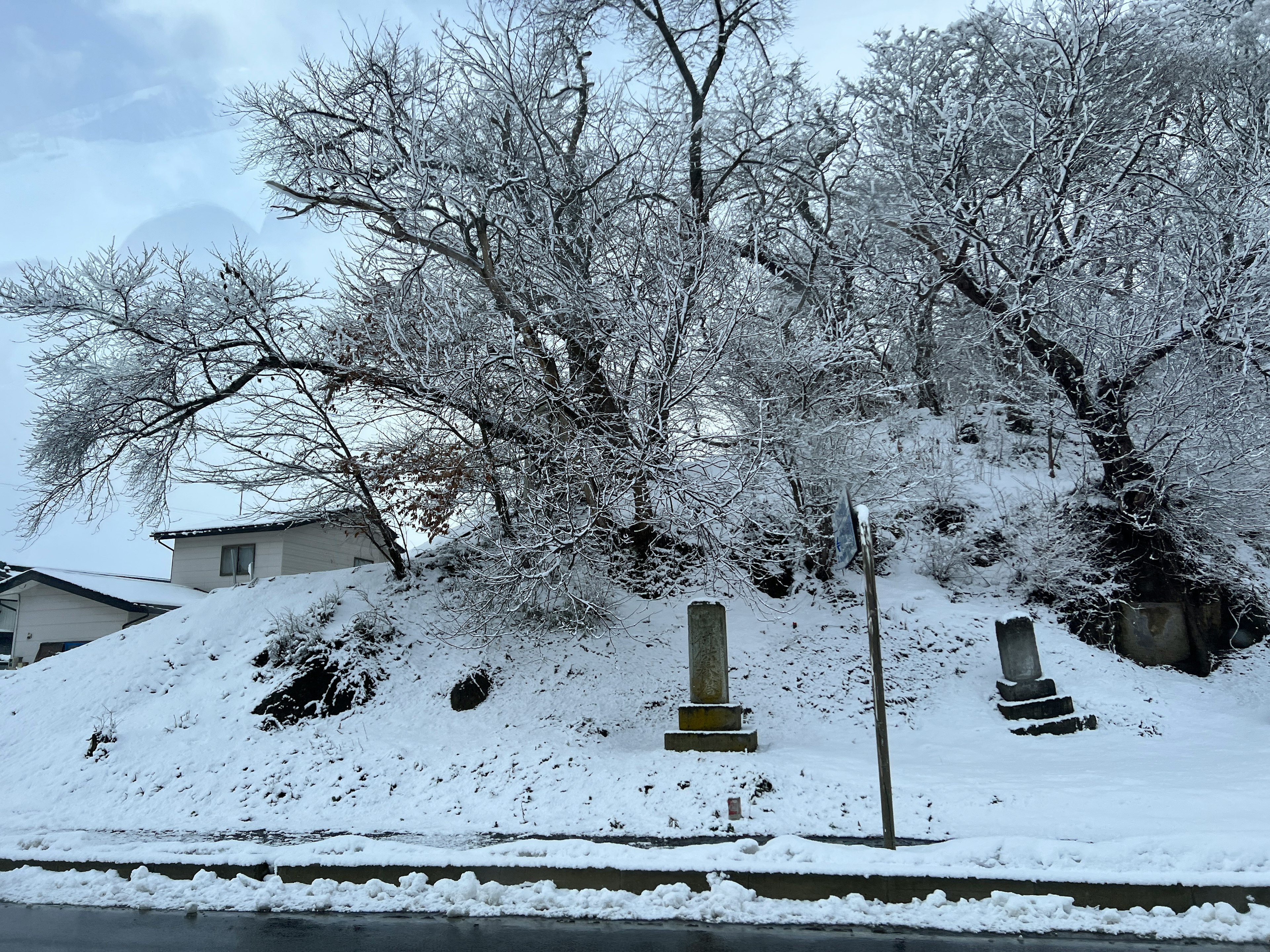 雪に覆われた木々と古い墓石がある静かな風景