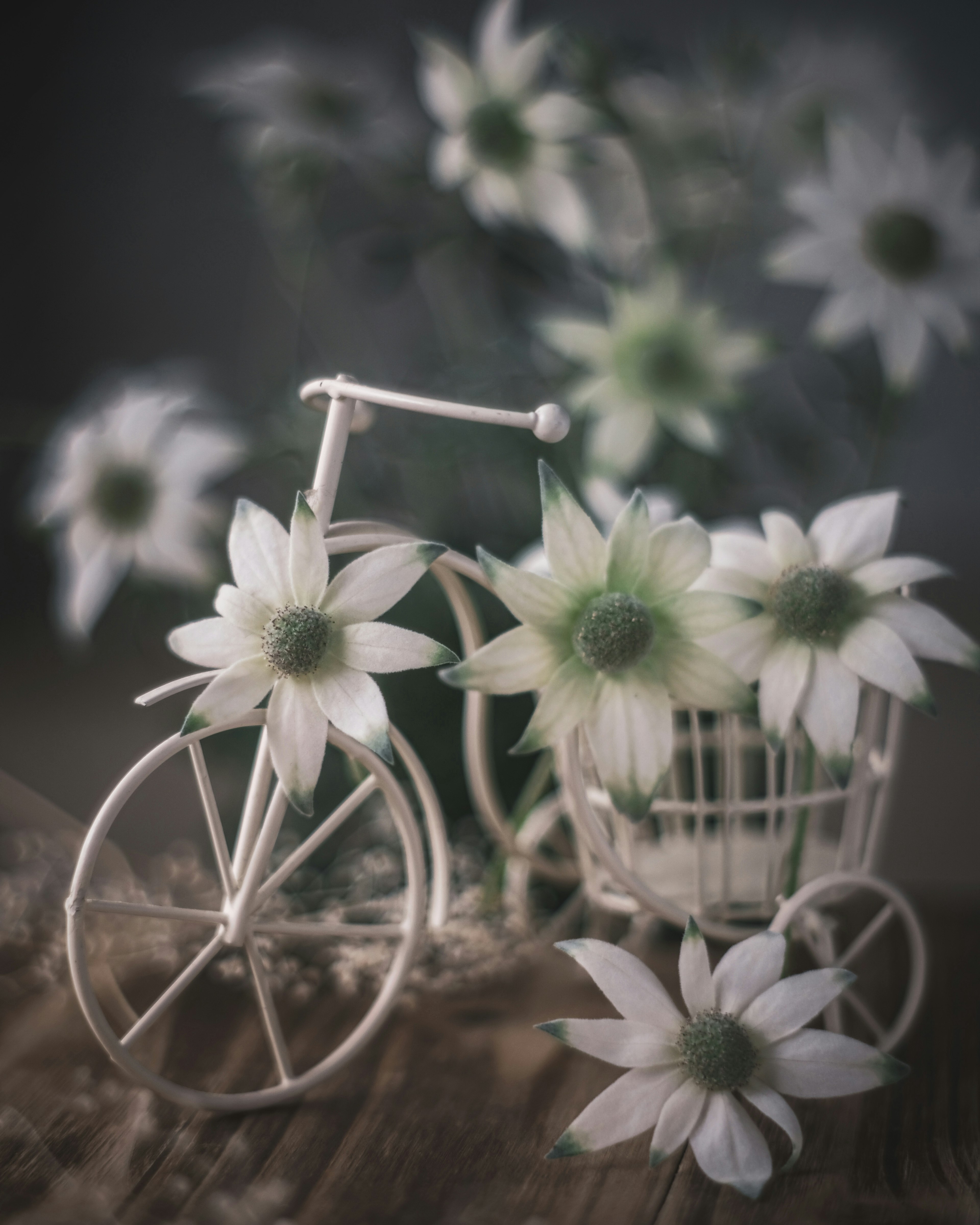 A beautiful still life featuring a white bicycle and floral arrangements