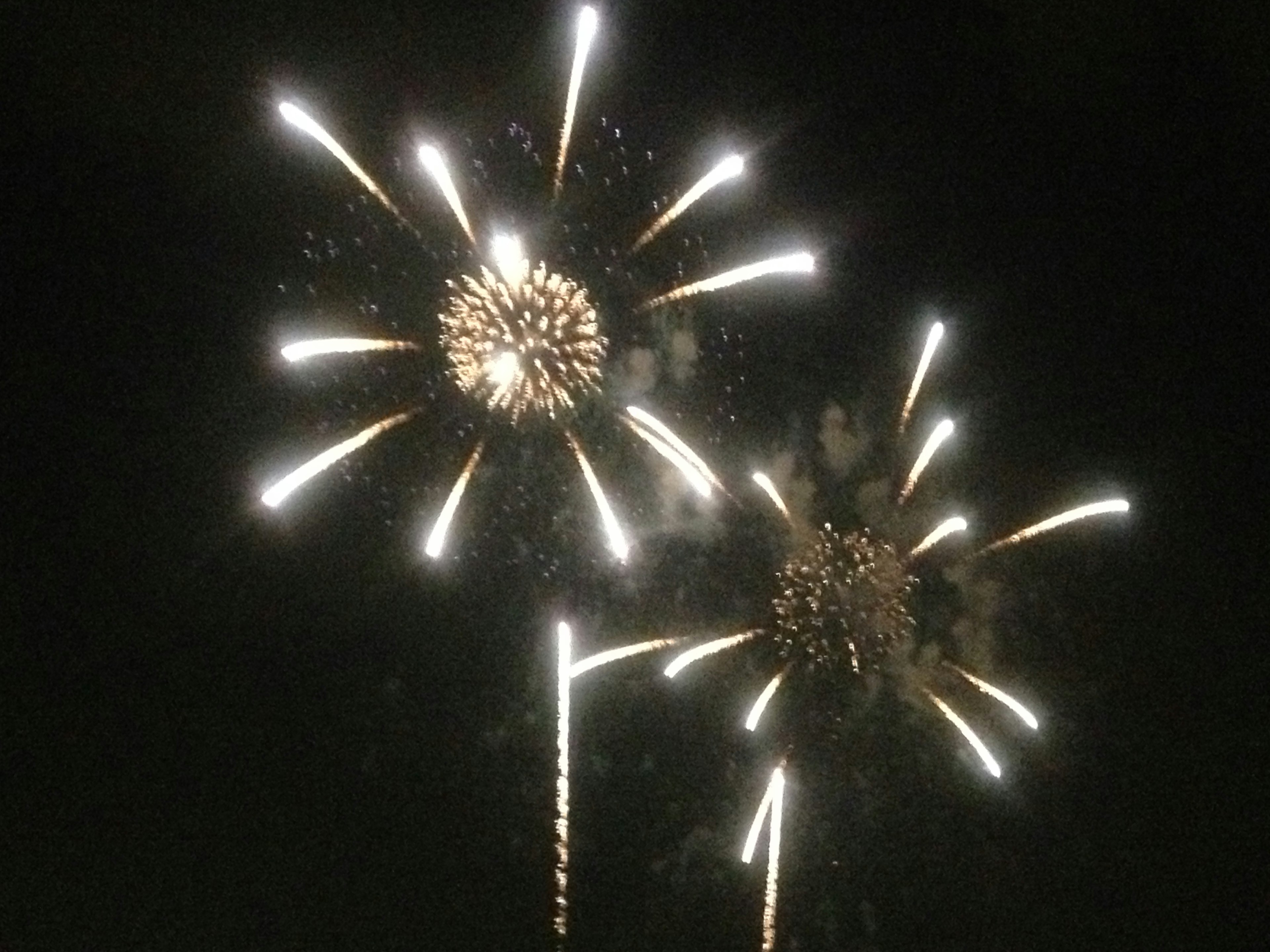 Fuochi d'artificio che esplodono nel cielo notturno