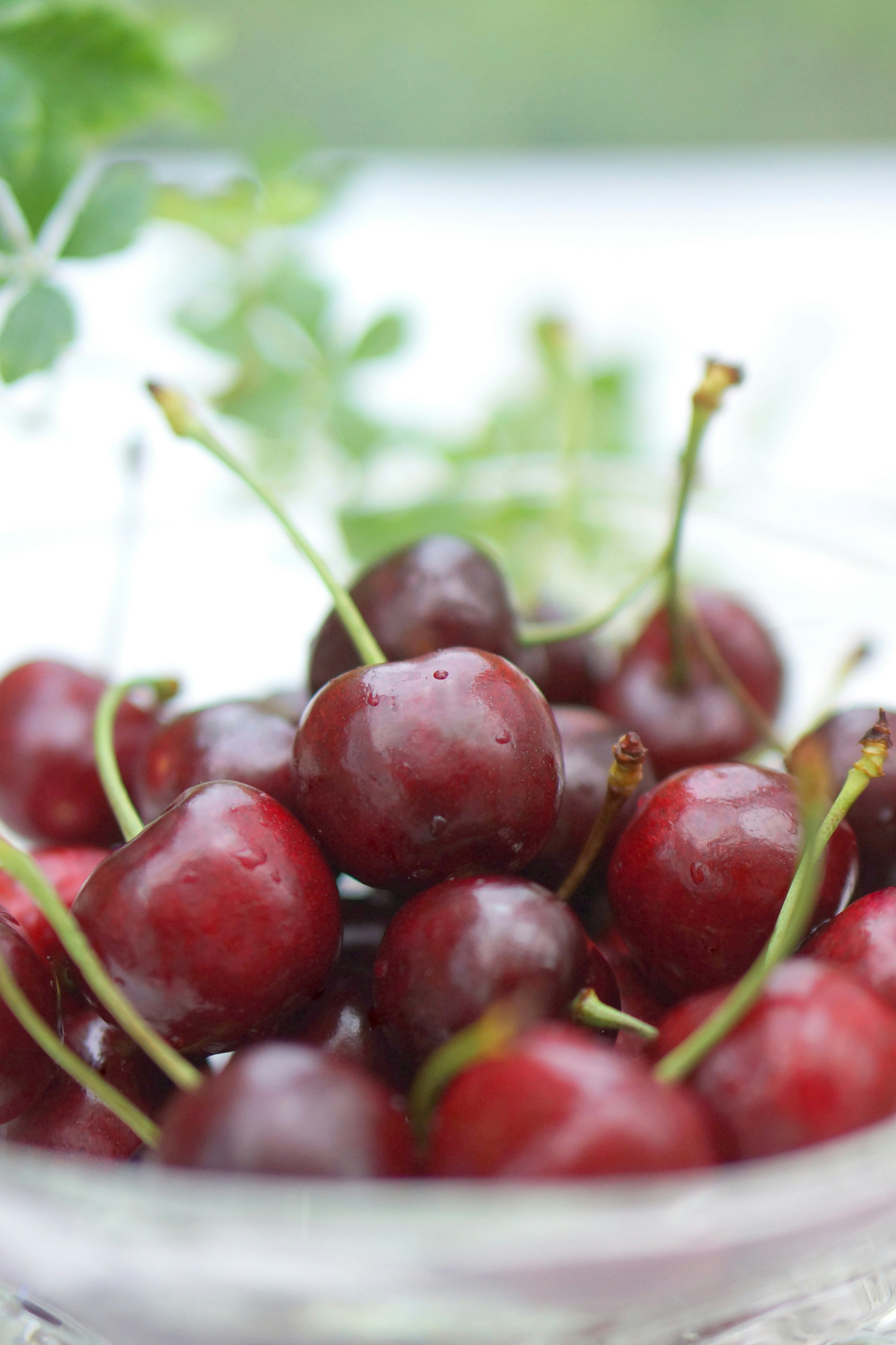 A glass bowl filled with vibrant red cherries