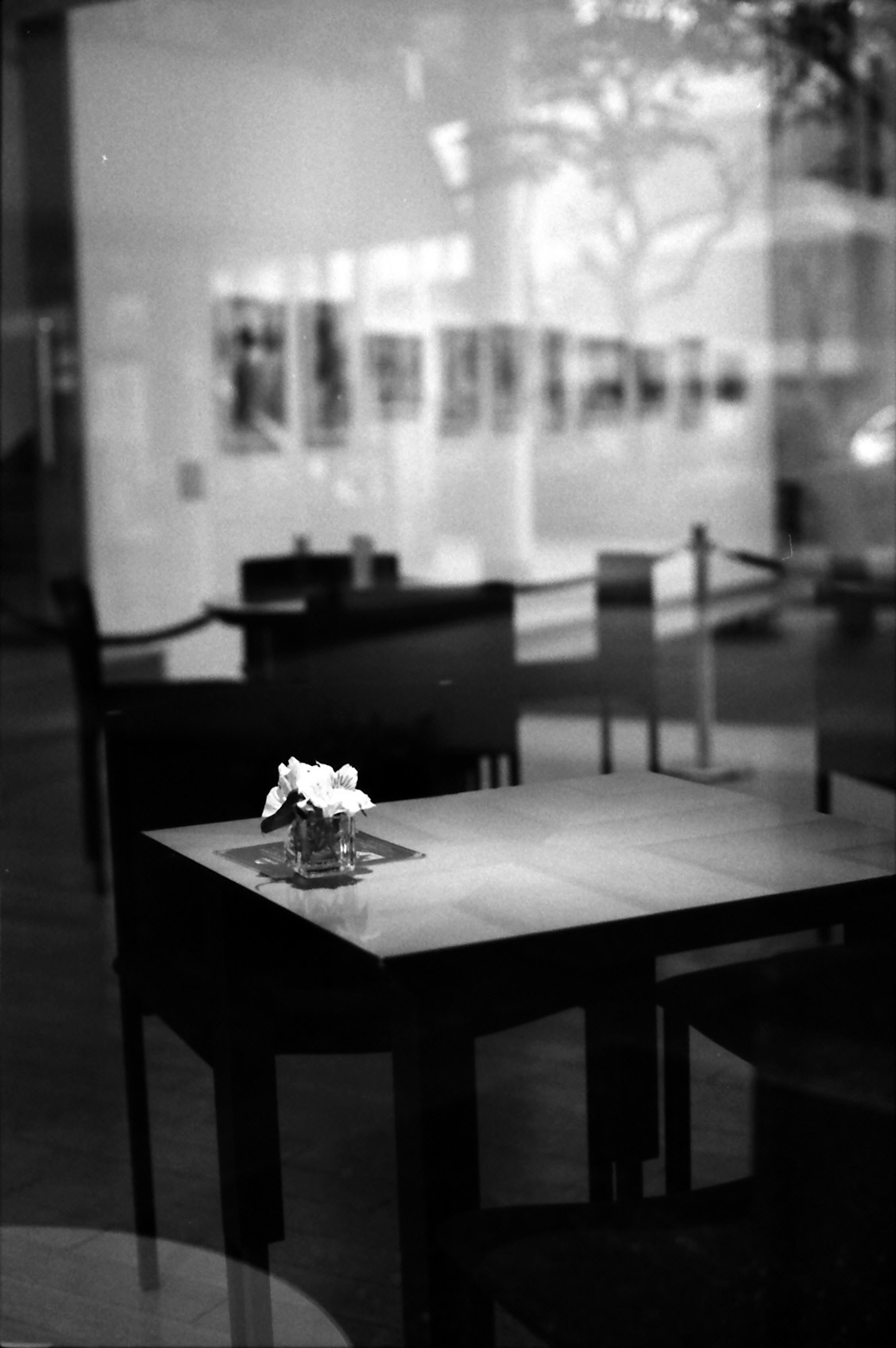 A quiet cafe interior featuring a table with a flower in black and white