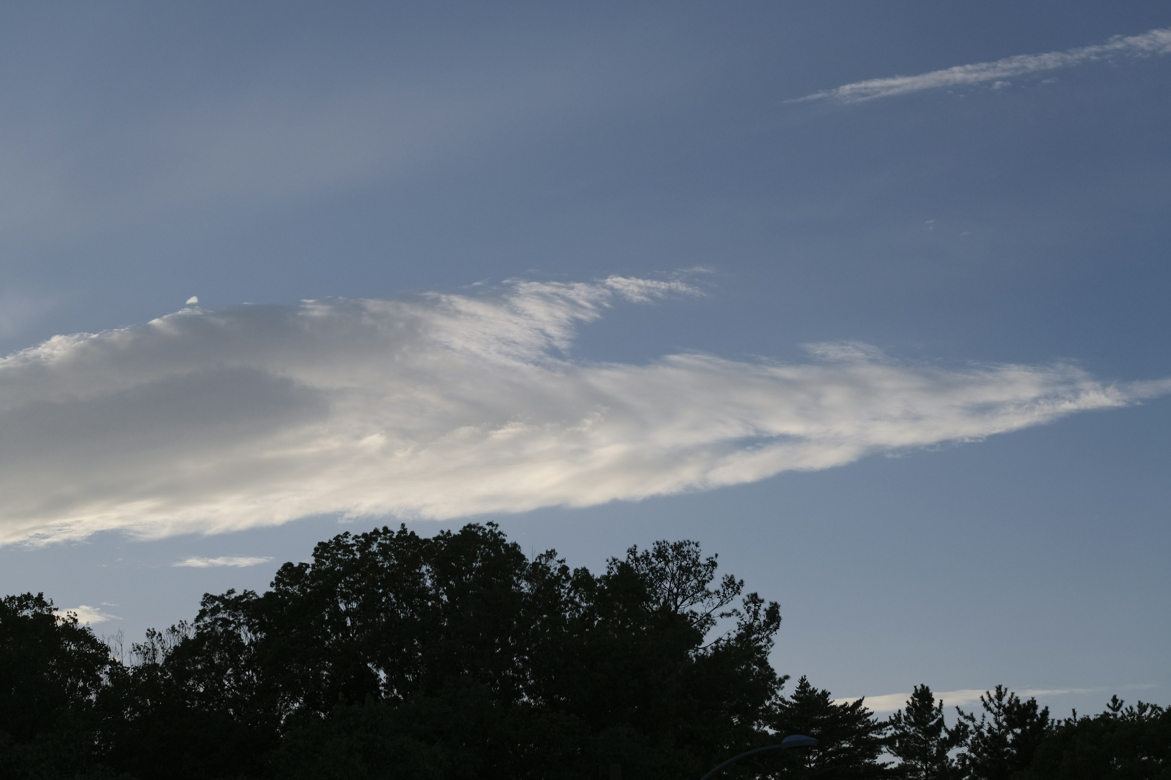 White clouds in a blue sky with silhouettes of trees