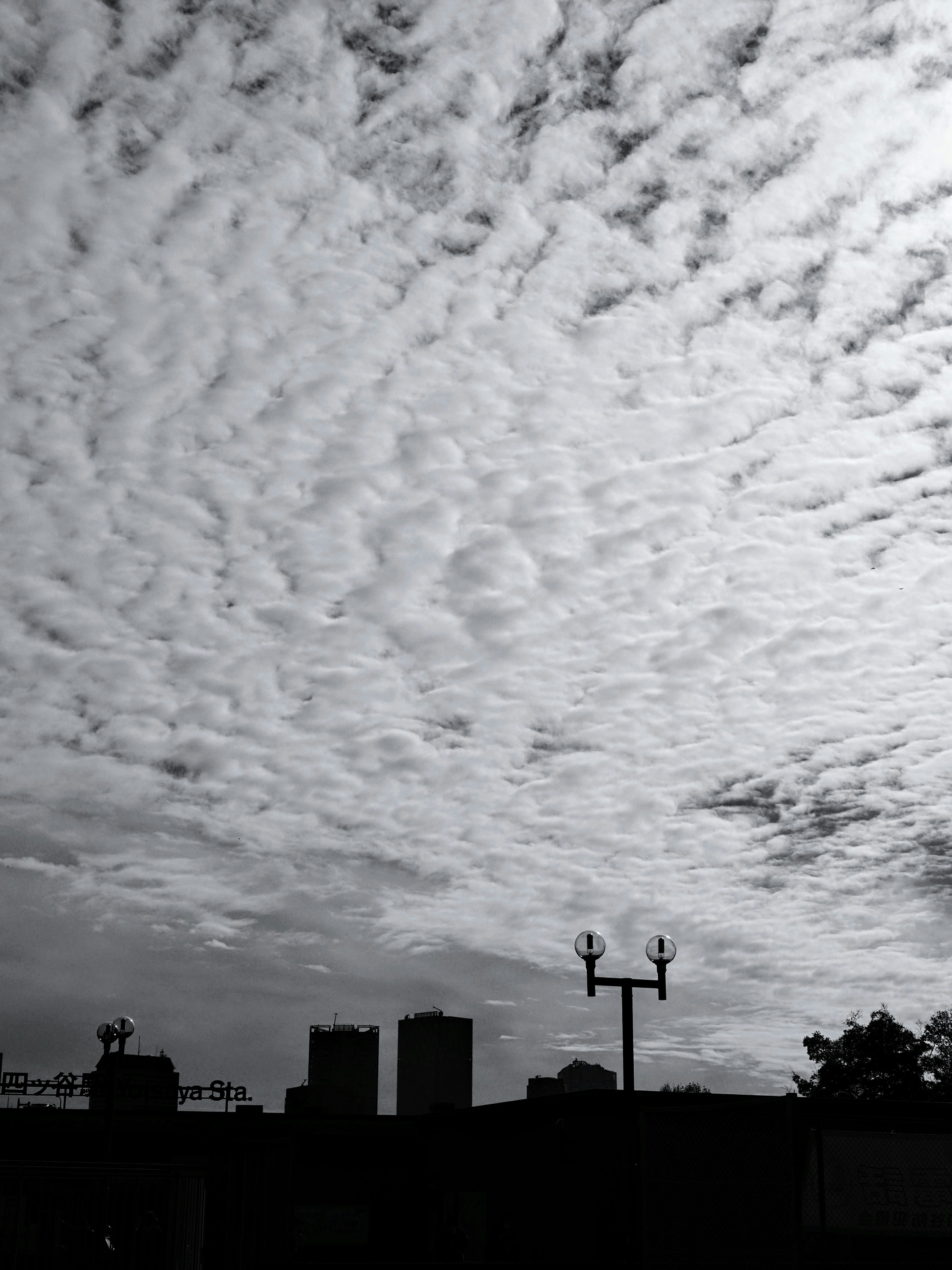 Nubes en blanco y negro que se extienden por el cielo con edificios en silueta