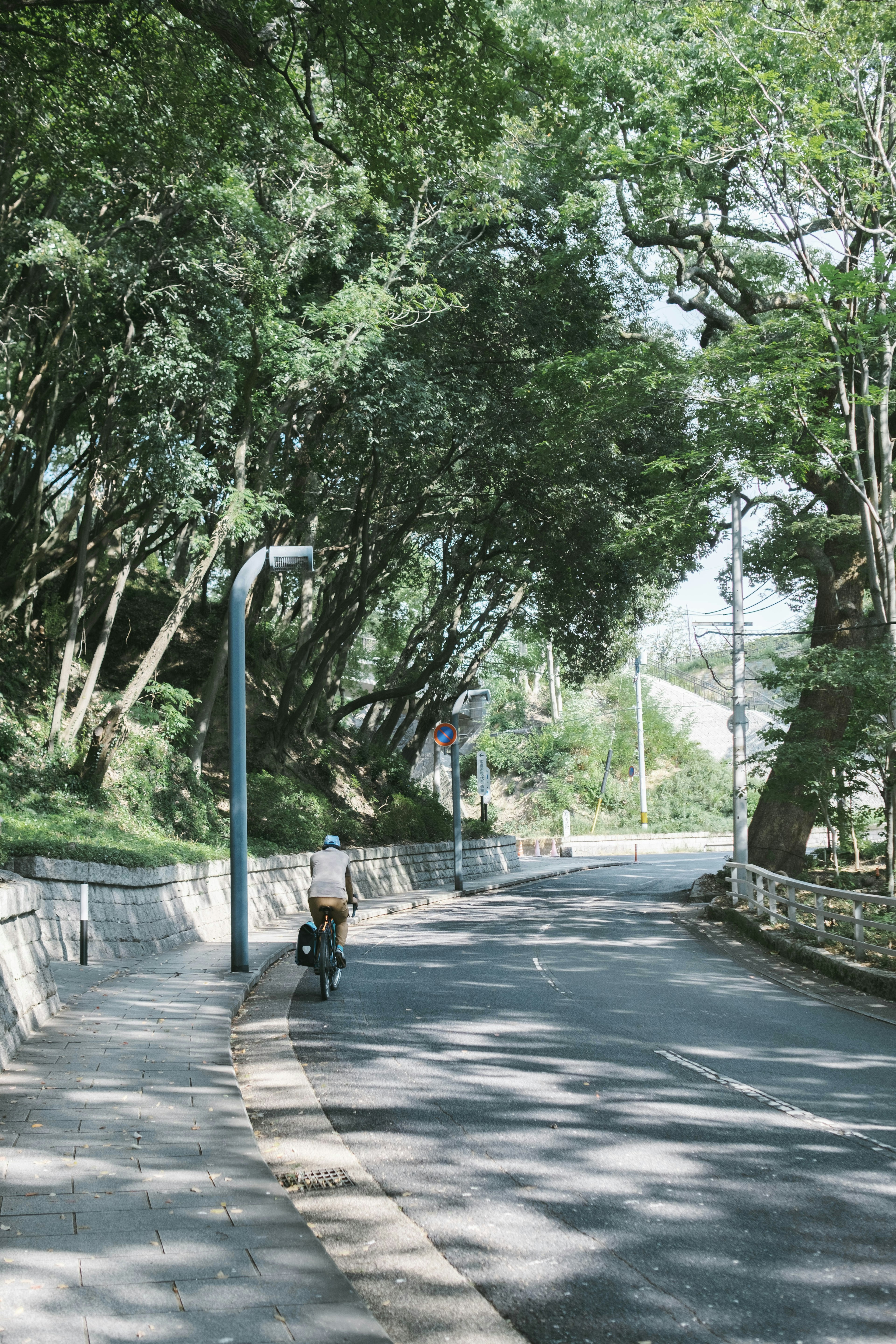 一個人在安靜的綠色道路上騎自行車，周圍是郁郁蔥蔥的樹木和寧靜的氛圍