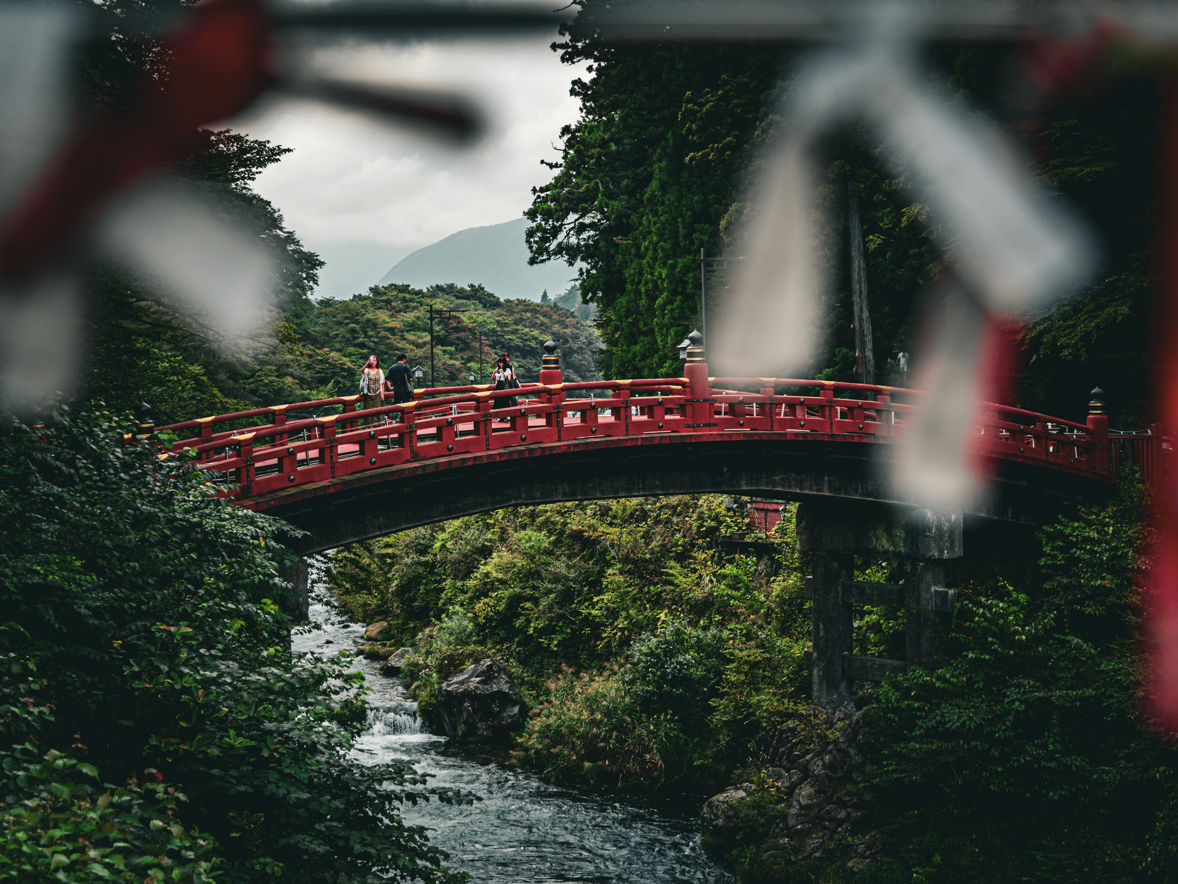 Red bridge surrounded by lush greenery