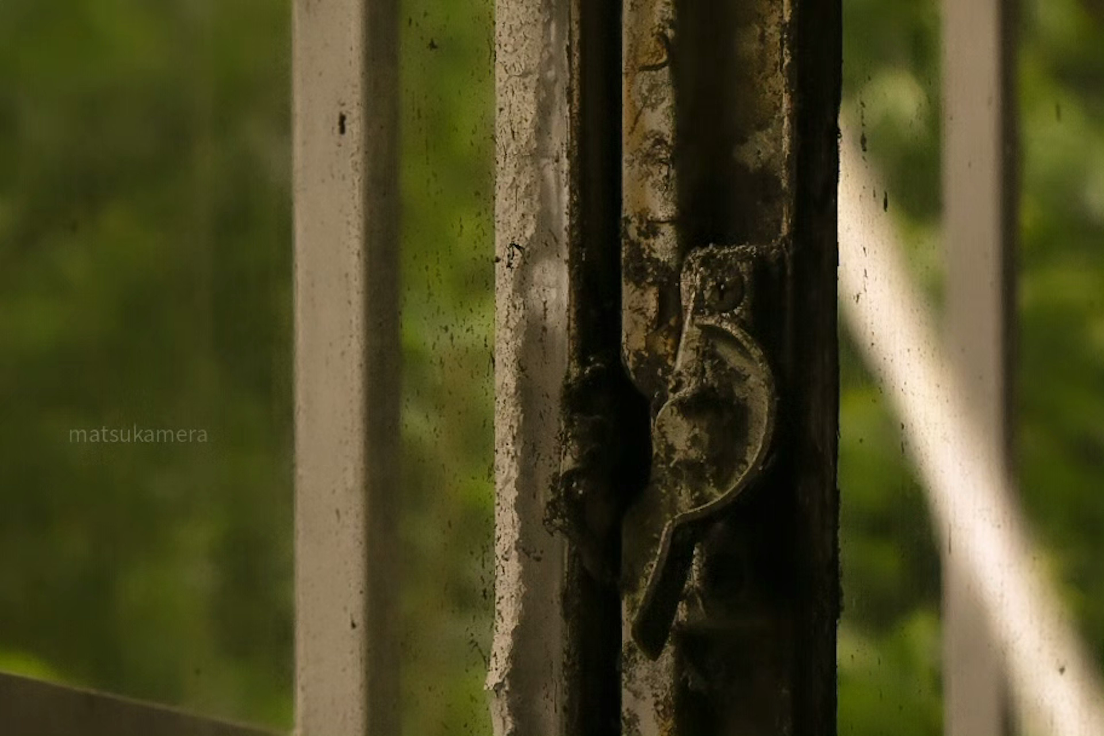 Un petit hibou perché sur un loquet de fenêtre avec un fond vert