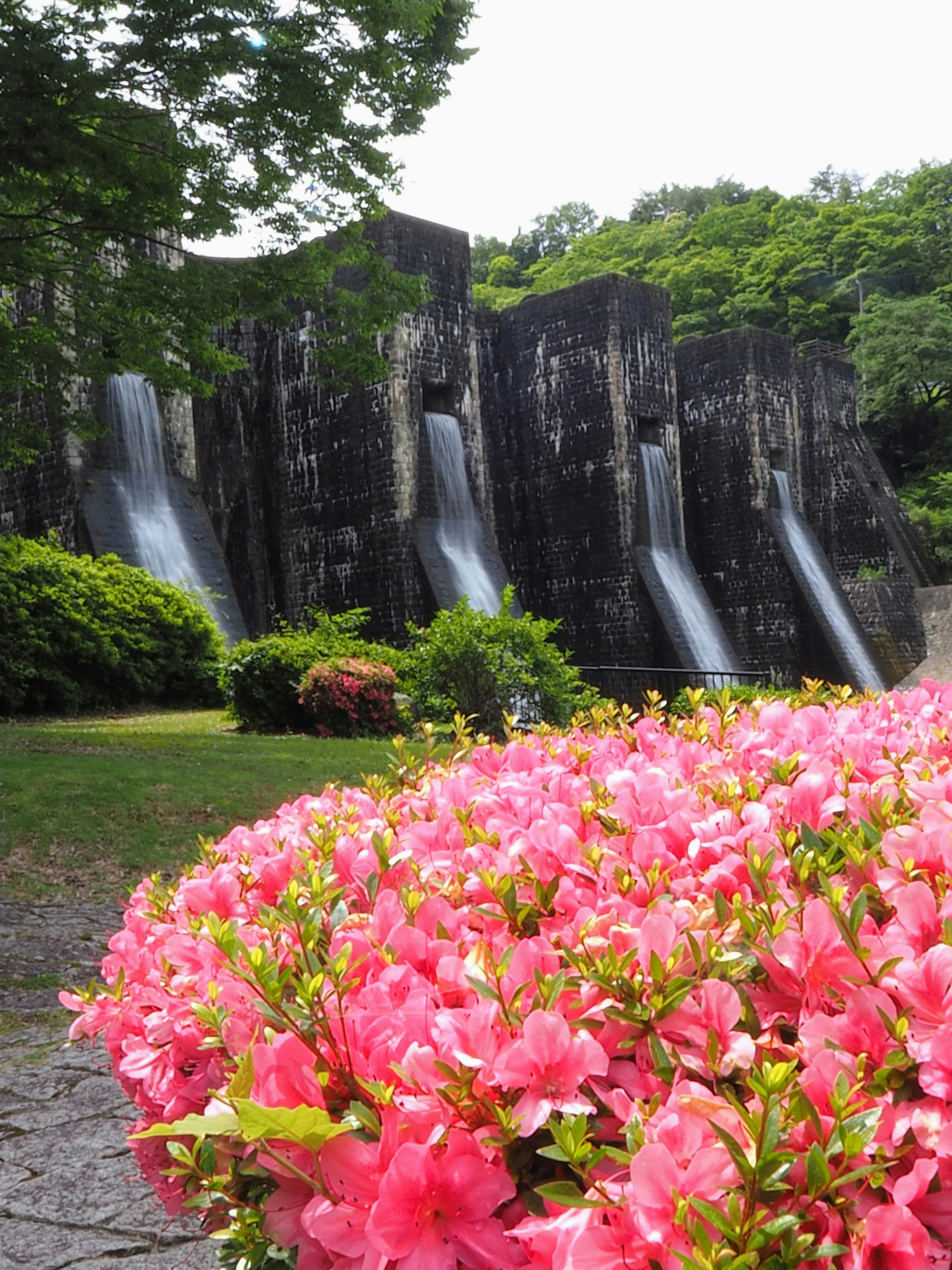 美しいピンクの花の前に流れる滝と緑の風景