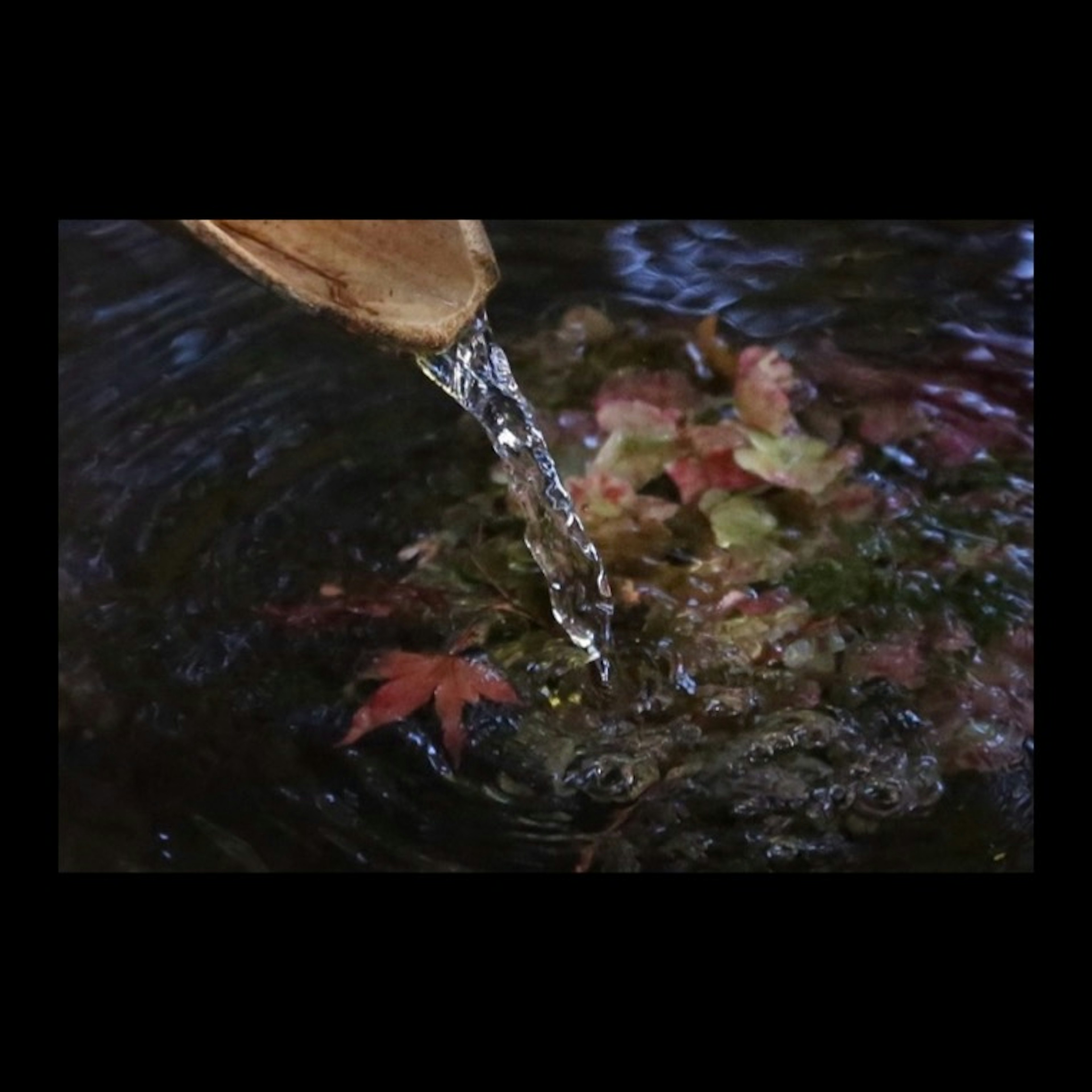 水が流れ落ちる竹の水差しと色づいた葉が浮かぶ水面の風景