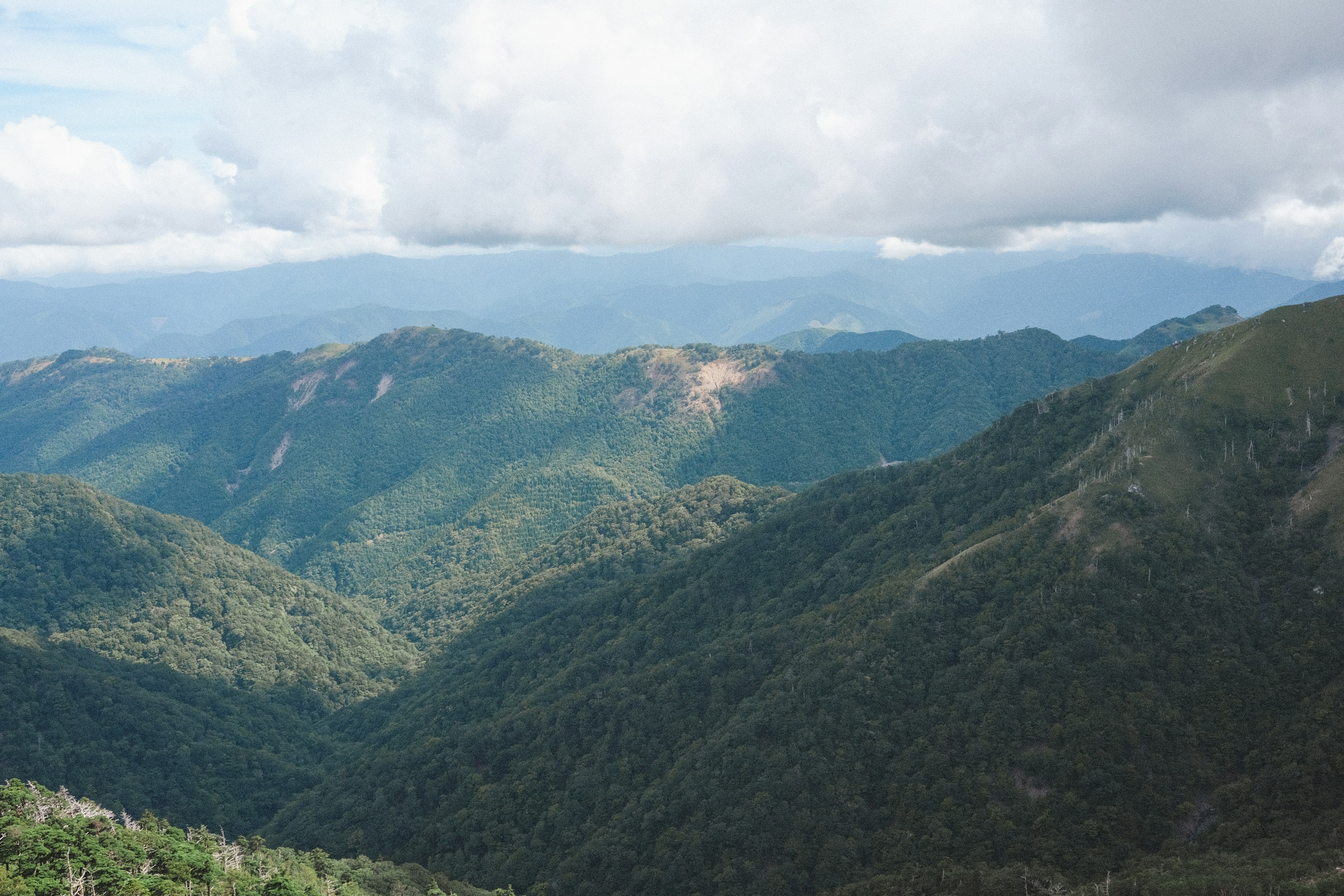 Weitläufige Aussicht auf Berge und üppige grüne Wälder