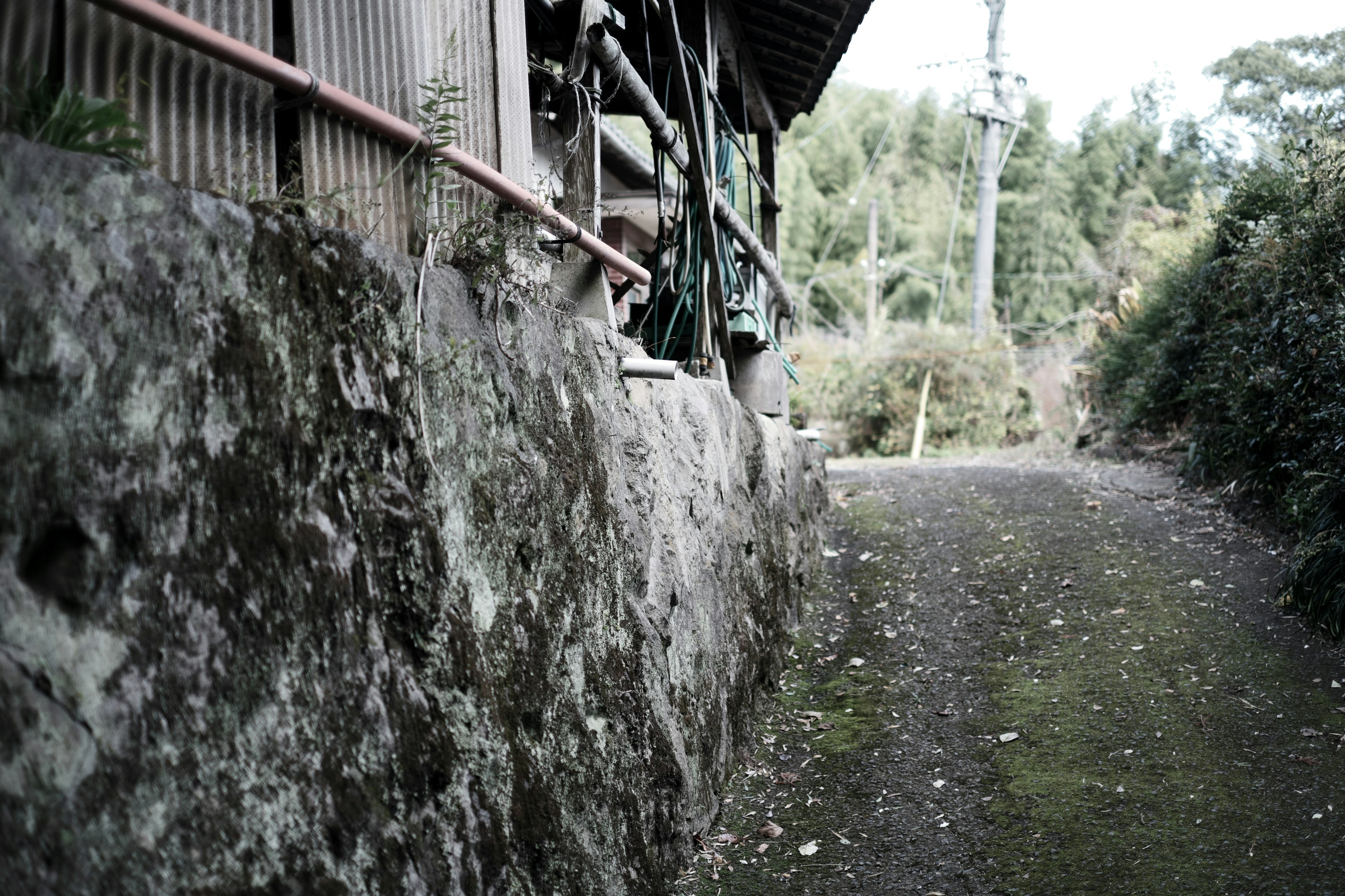 Sentier rural tranquille le long de l'extérieur d'une vieille maison