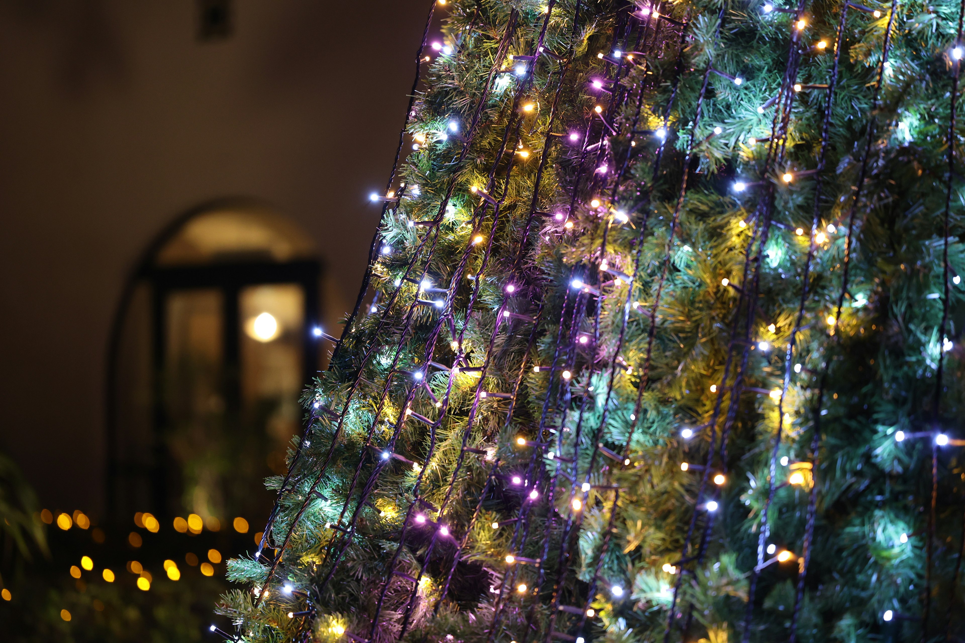 Gros plan d'un arbre décoré de lumières de Noël colorées