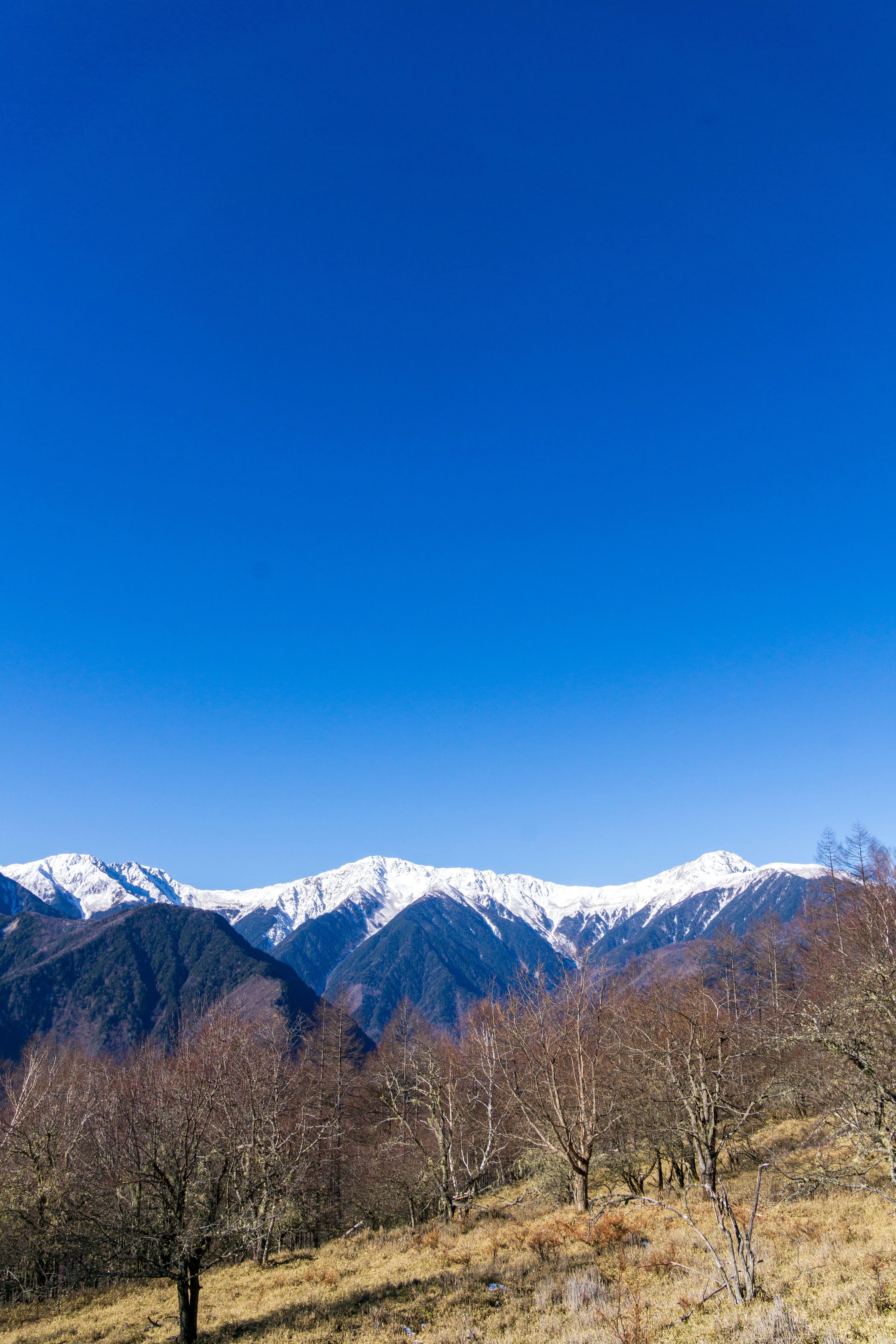 雪をかぶった山々と青空の広がる風景