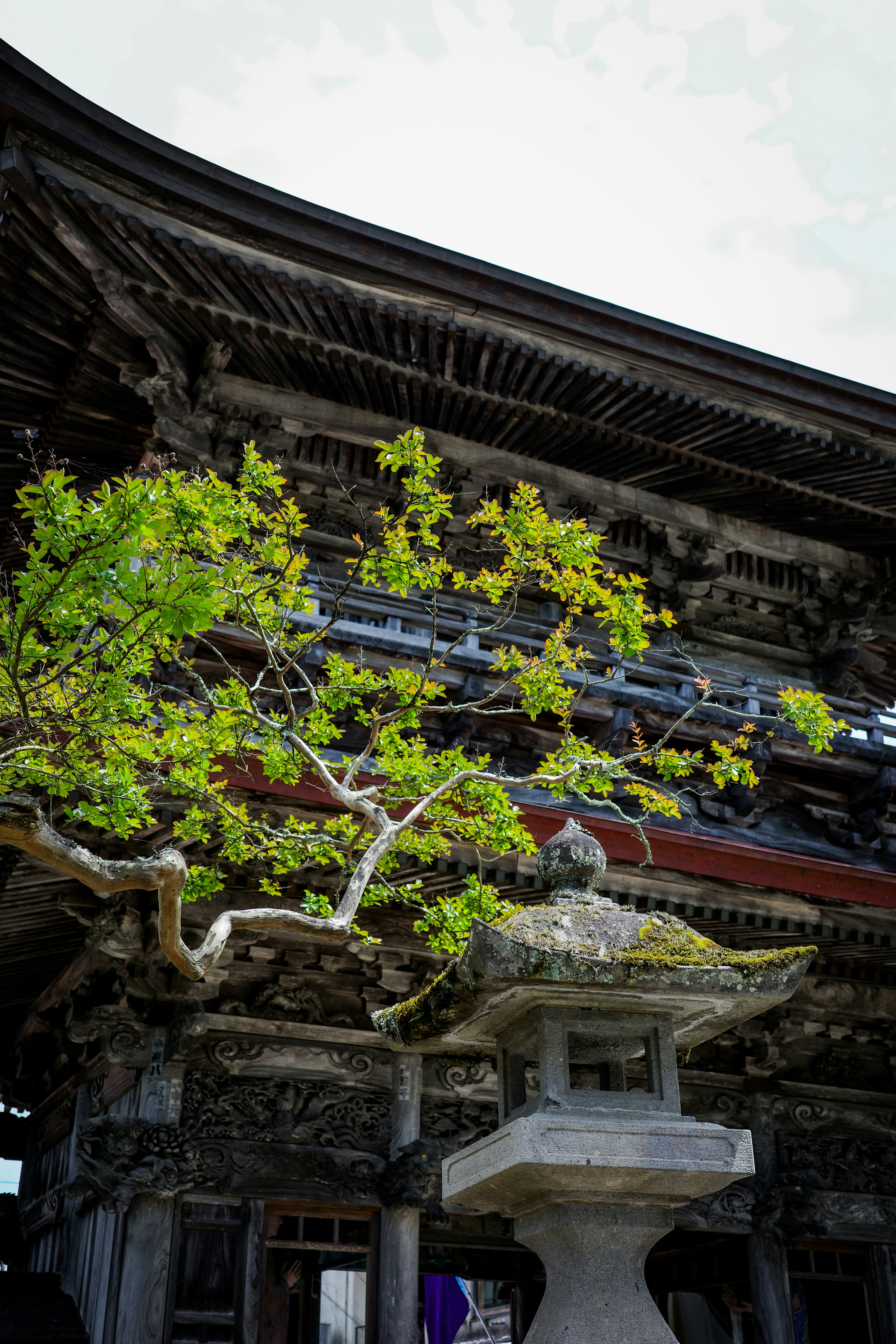 古い寺院の屋根と石の灯篭の前にある緑の木