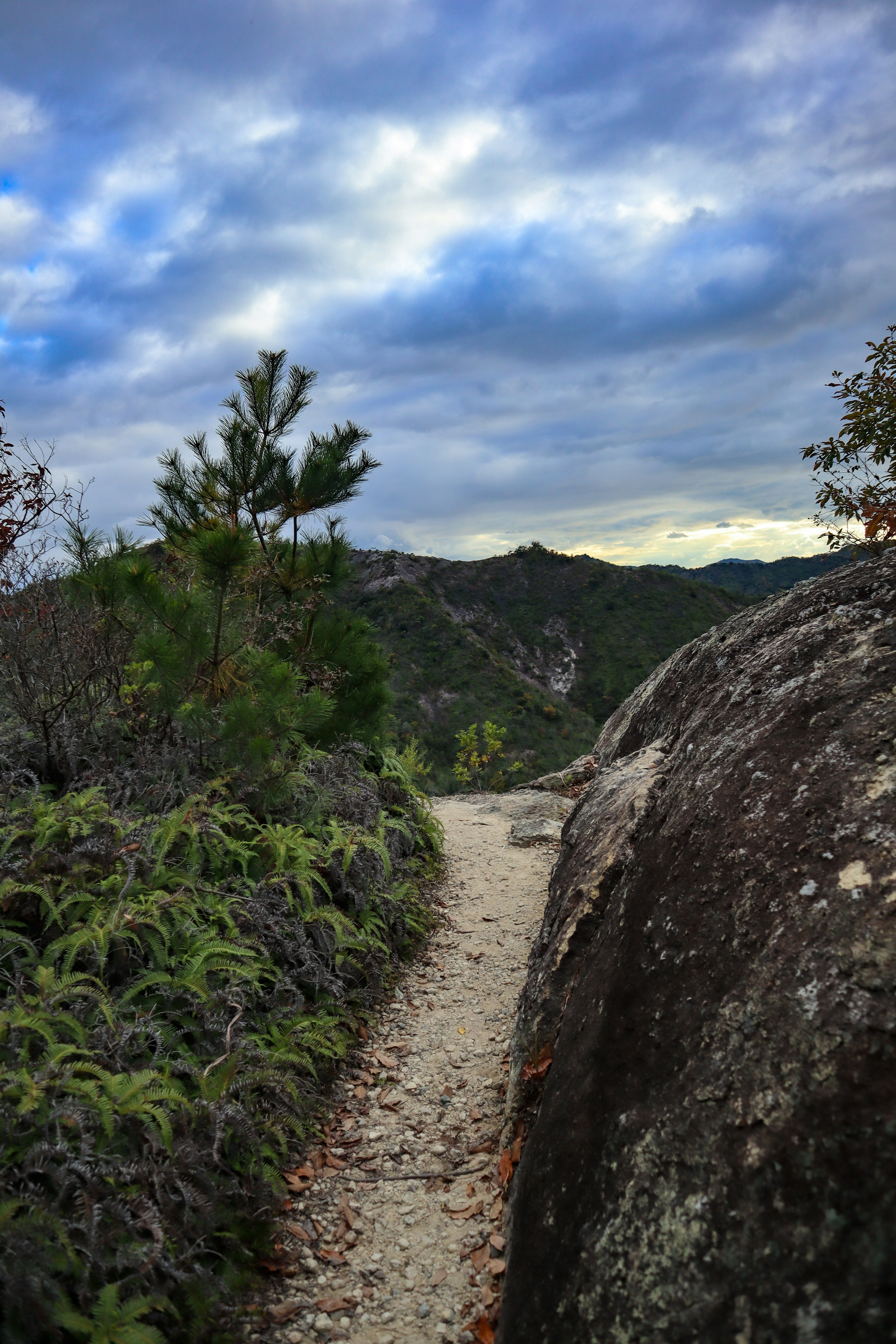 Sentier de montagne pittoresque avec ciel bleu et nuages, flanqué de rochers et de verdure