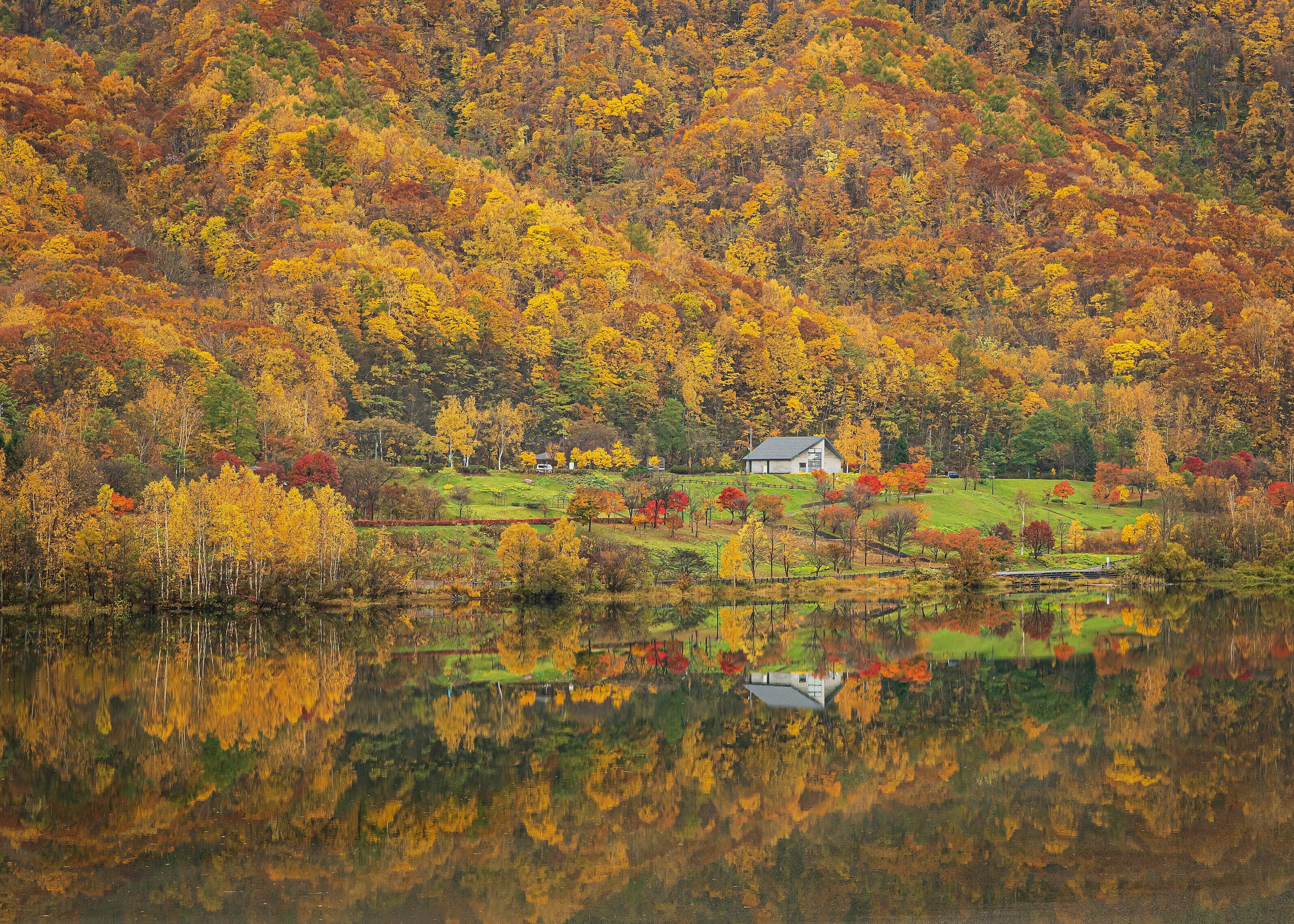 Paisaje otoñal escénico con follaje colorido cubriendo colinas cerca de un lago tranquilo con una casa