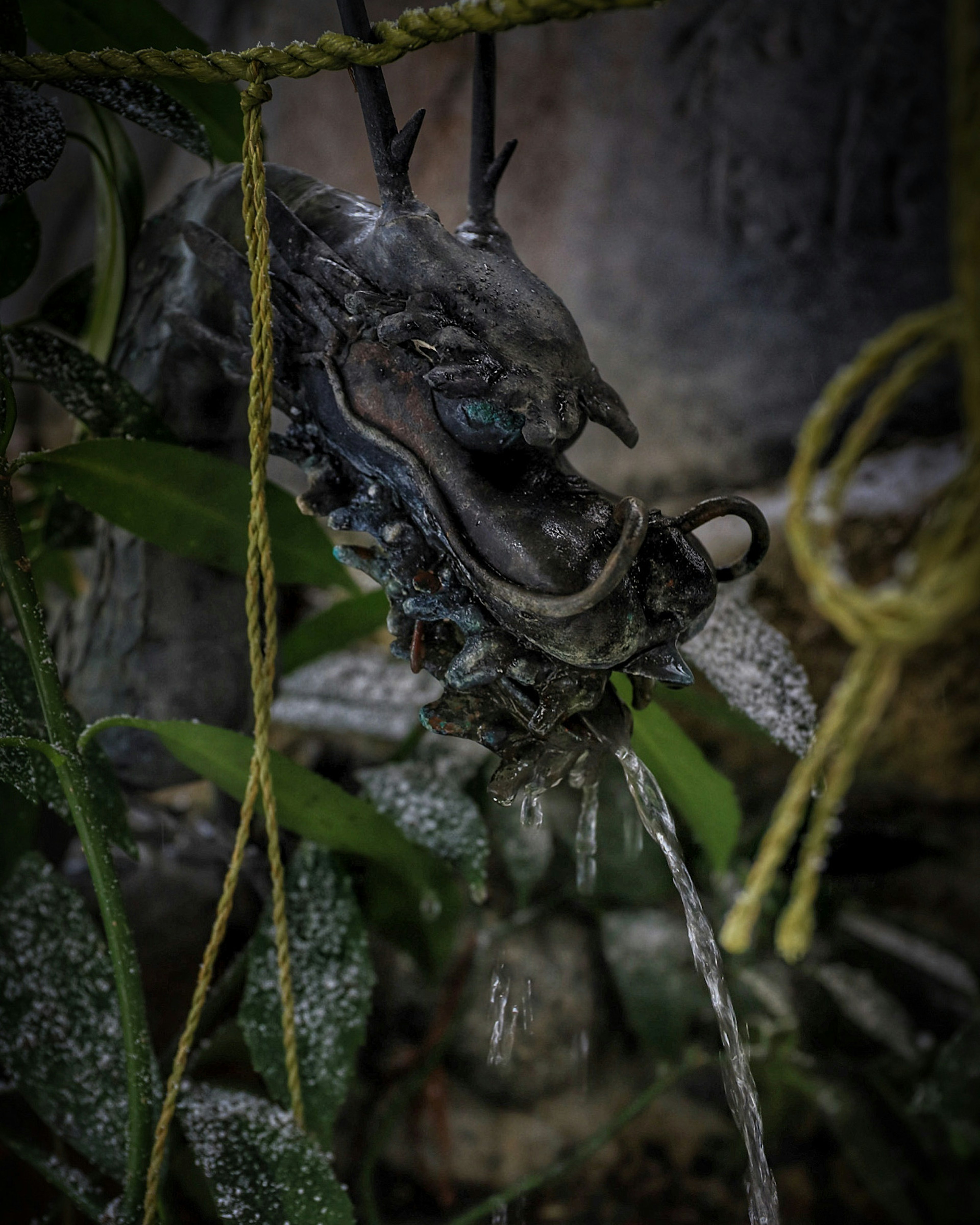 Drachenskulptur, die Wasser spritzt, umgeben von grünen Pflanzen