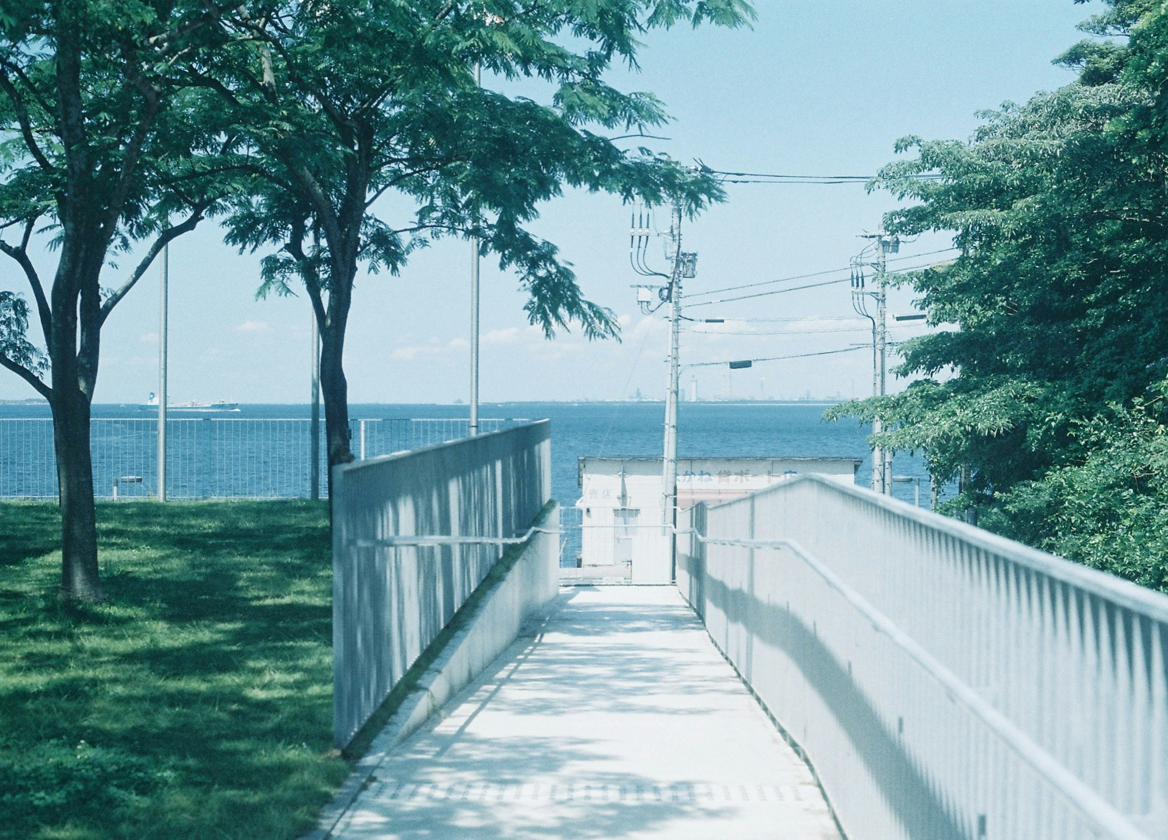 海の景色を望む緩やかなスロープと緑の木々