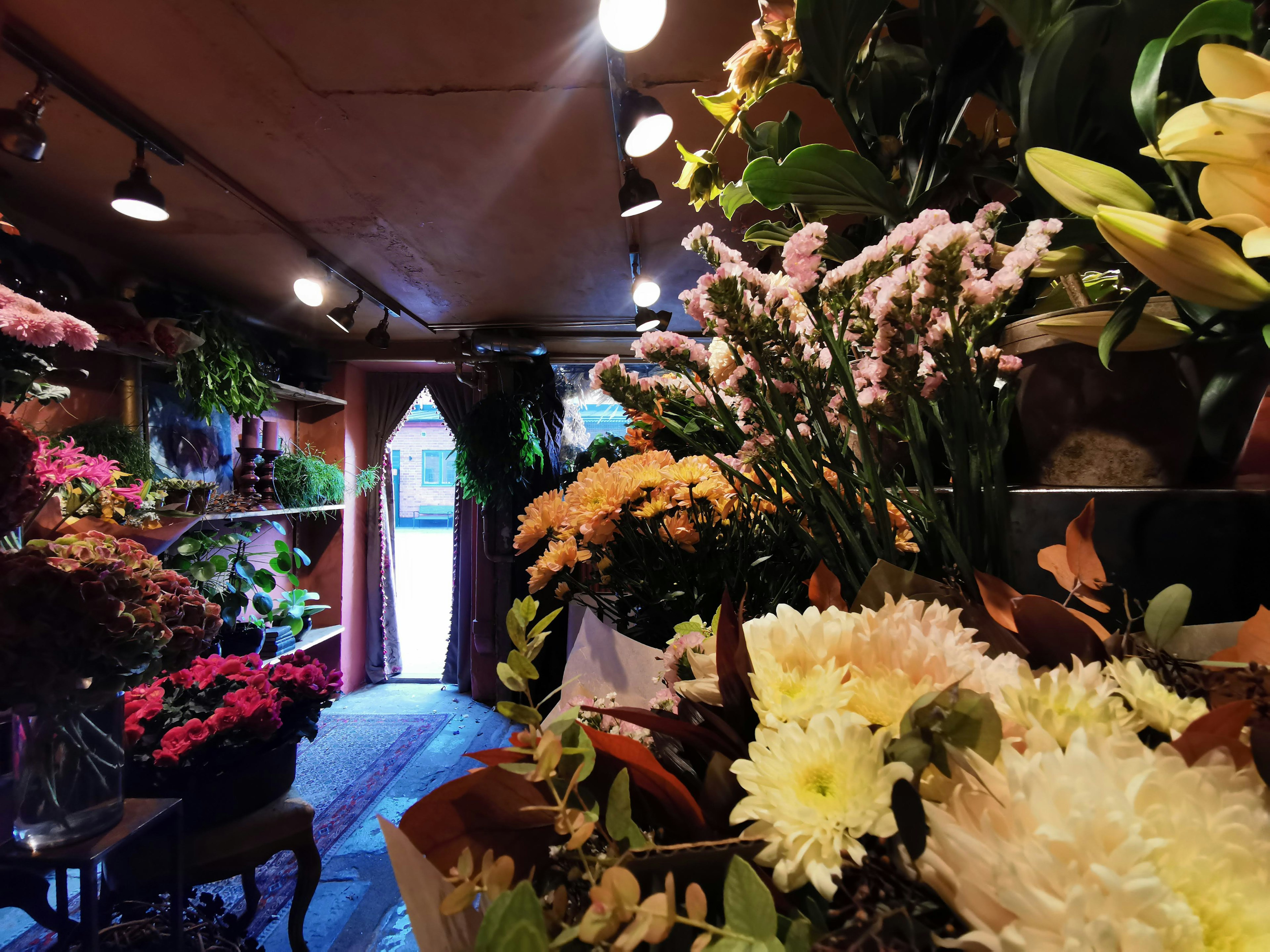 Intérieur d'une fleuristerie rempli de fleurs colorées