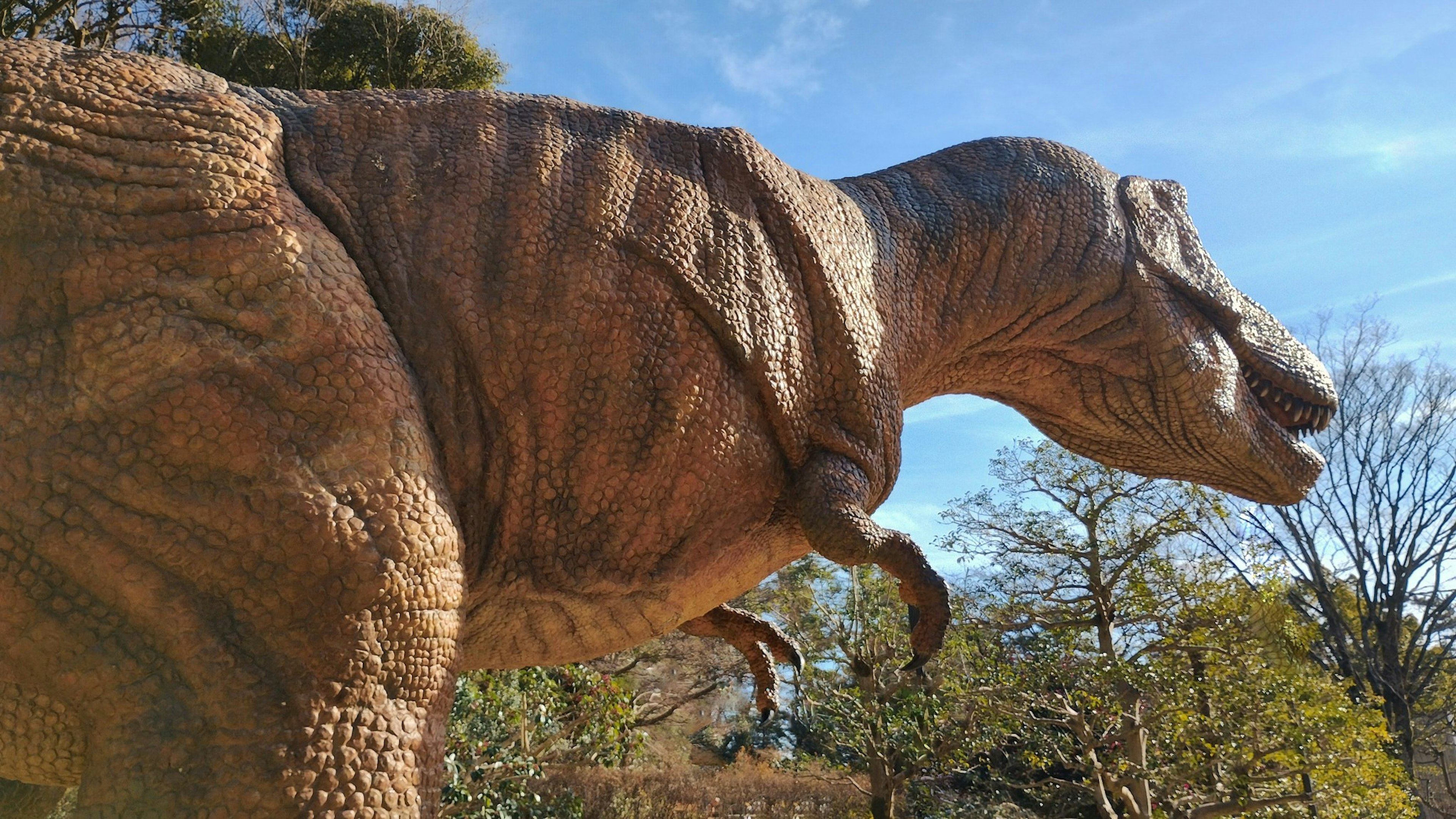 Grande sculpture de Tyrannosaurus Rex dans un parc avec ciel bleu et arbres en arrière-plan