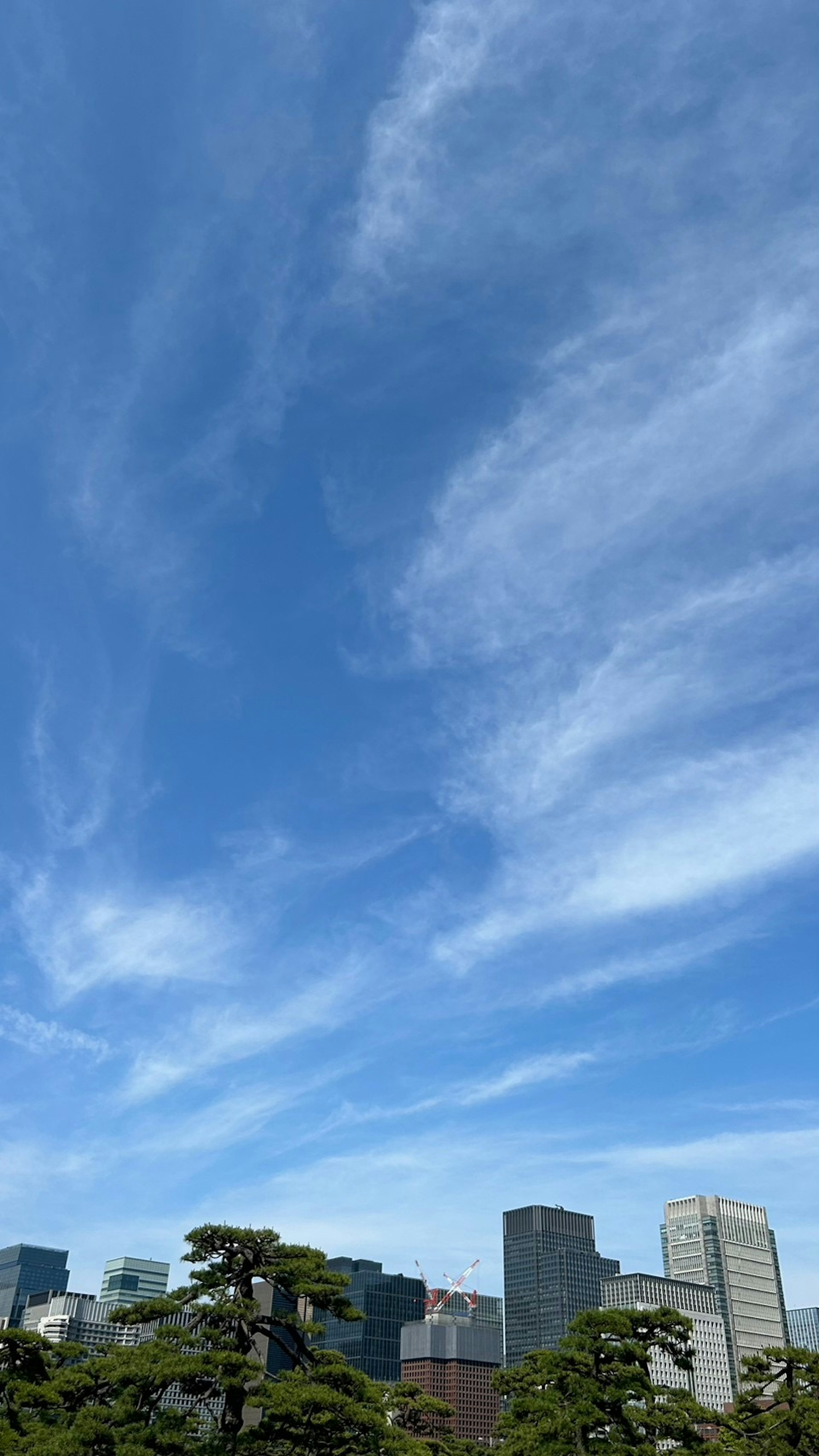 青空と雲の風景と高層ビル