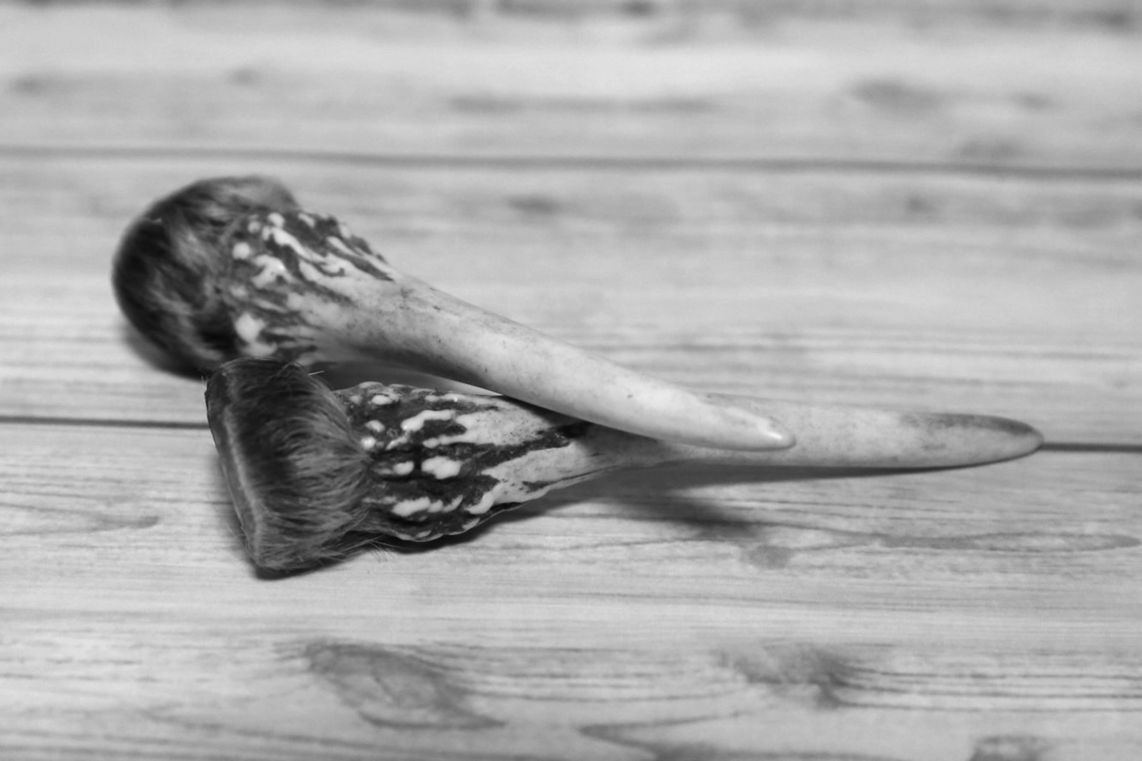 Unique shaped object placed on a black and white wooden table