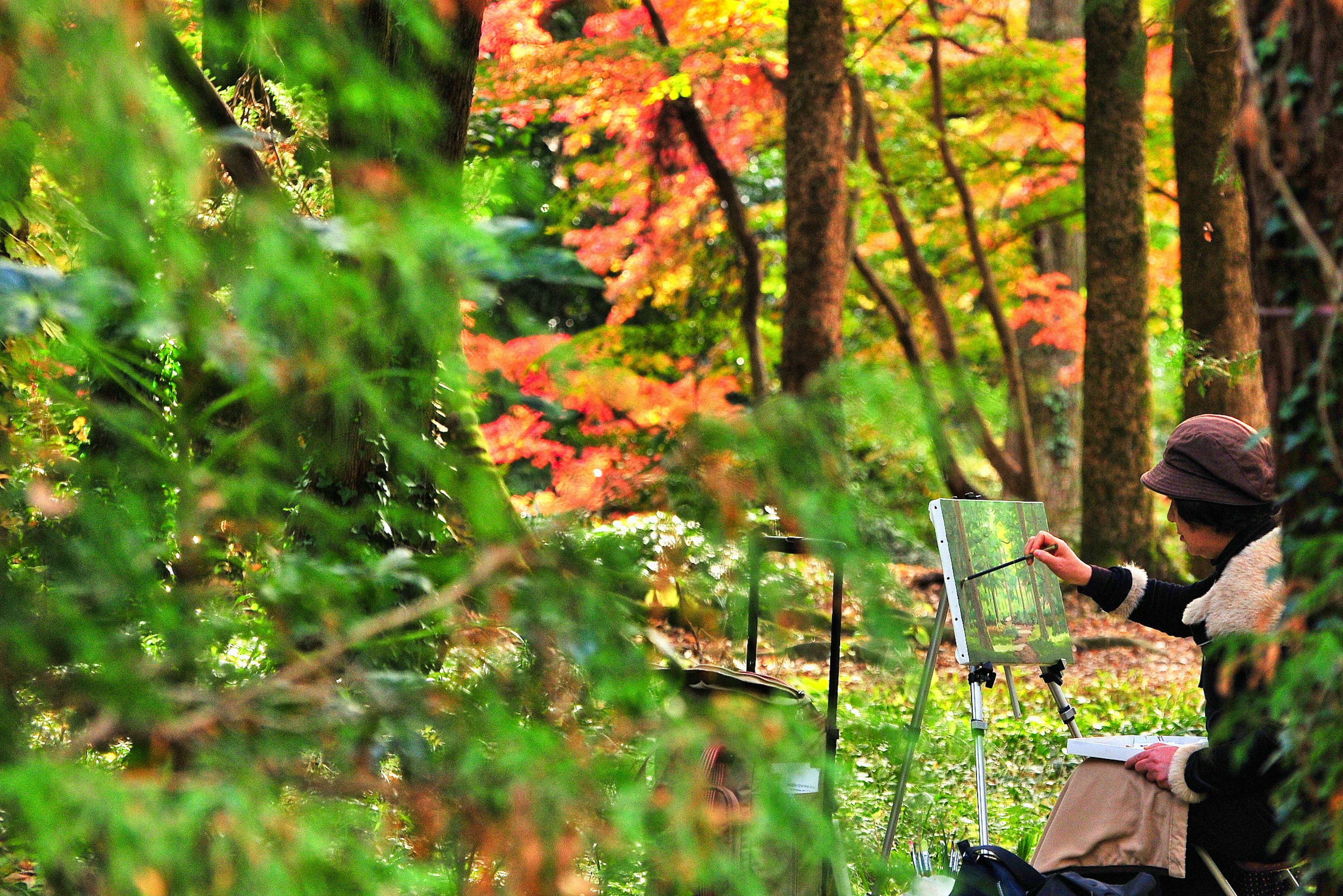 Artiste peignant dans une forêt automnale vibrante avec des feuilles colorées