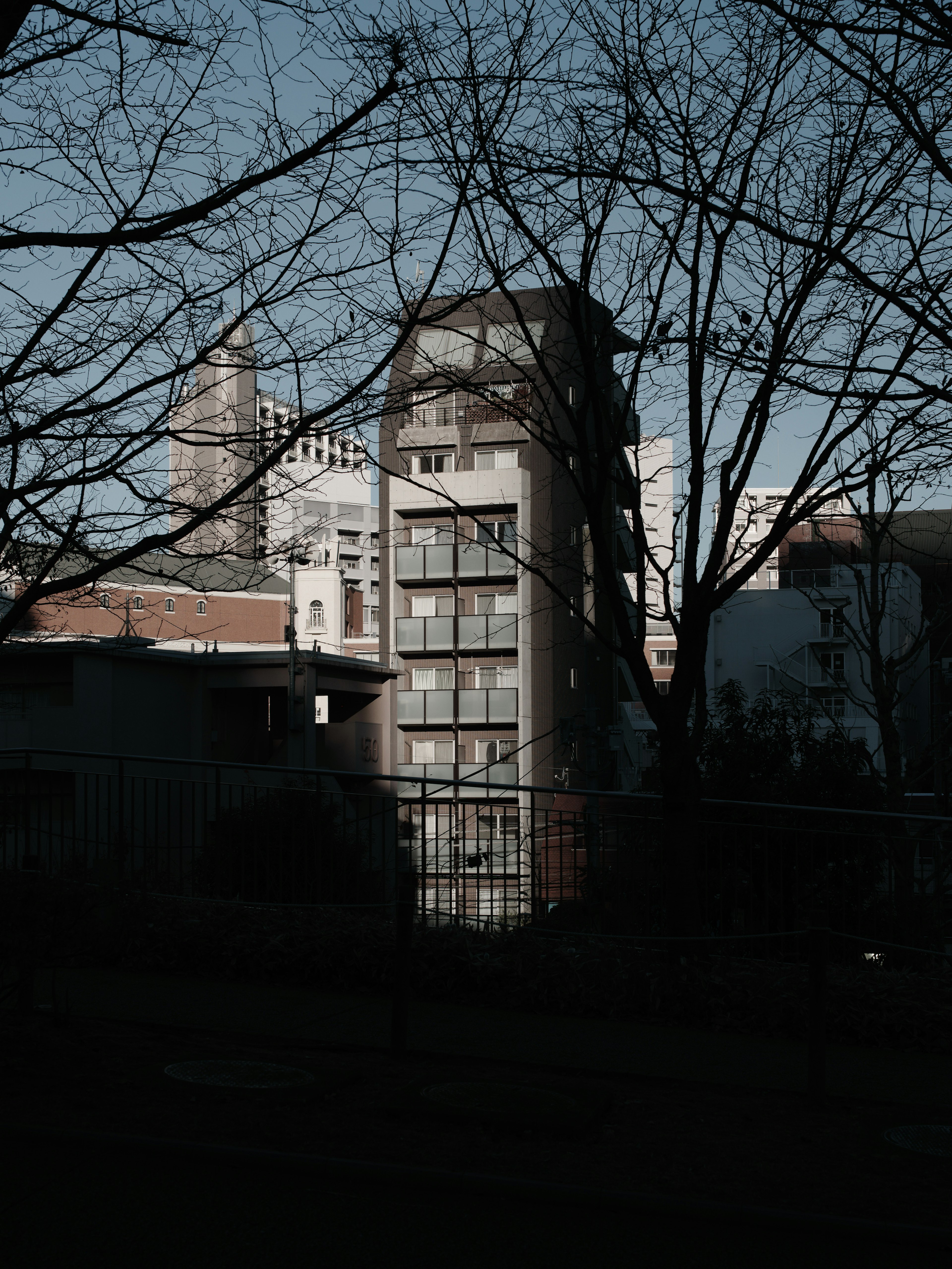 Bâtiment moderne se tenant entre des structures de grande hauteur et des arbres d'hiver