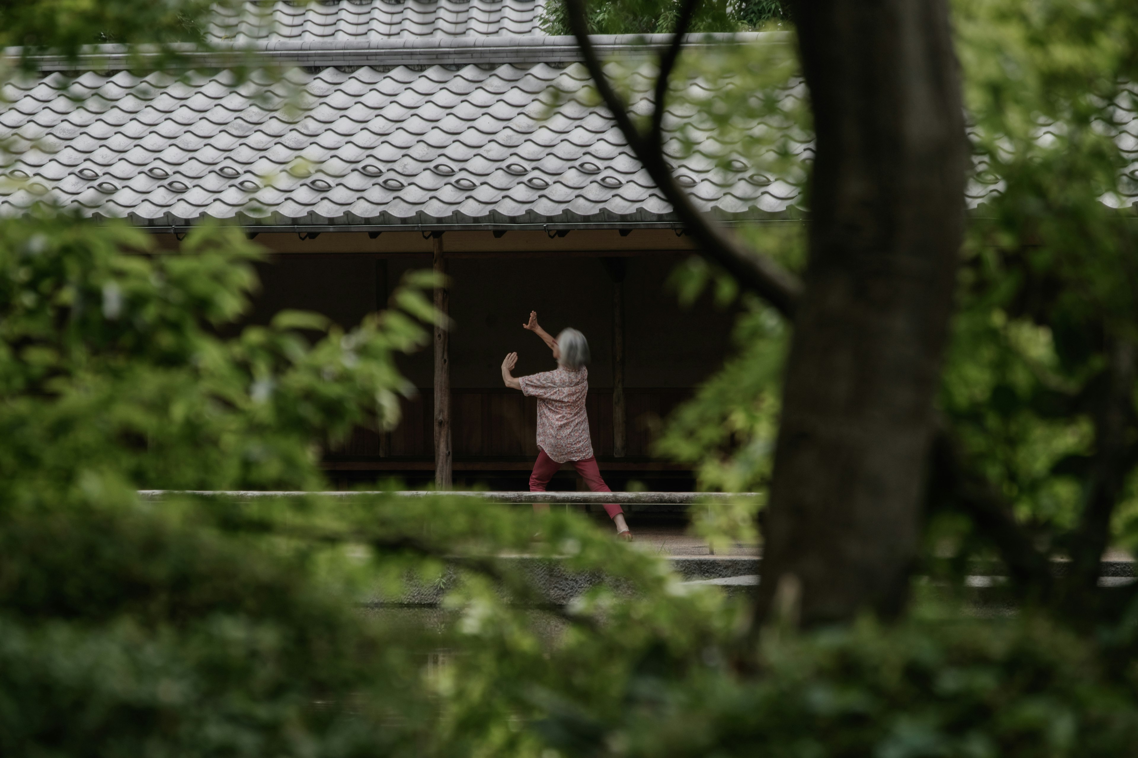 Personne pratiquant des mouvements dans un jardin avec un bâtiment à toit traditionnel