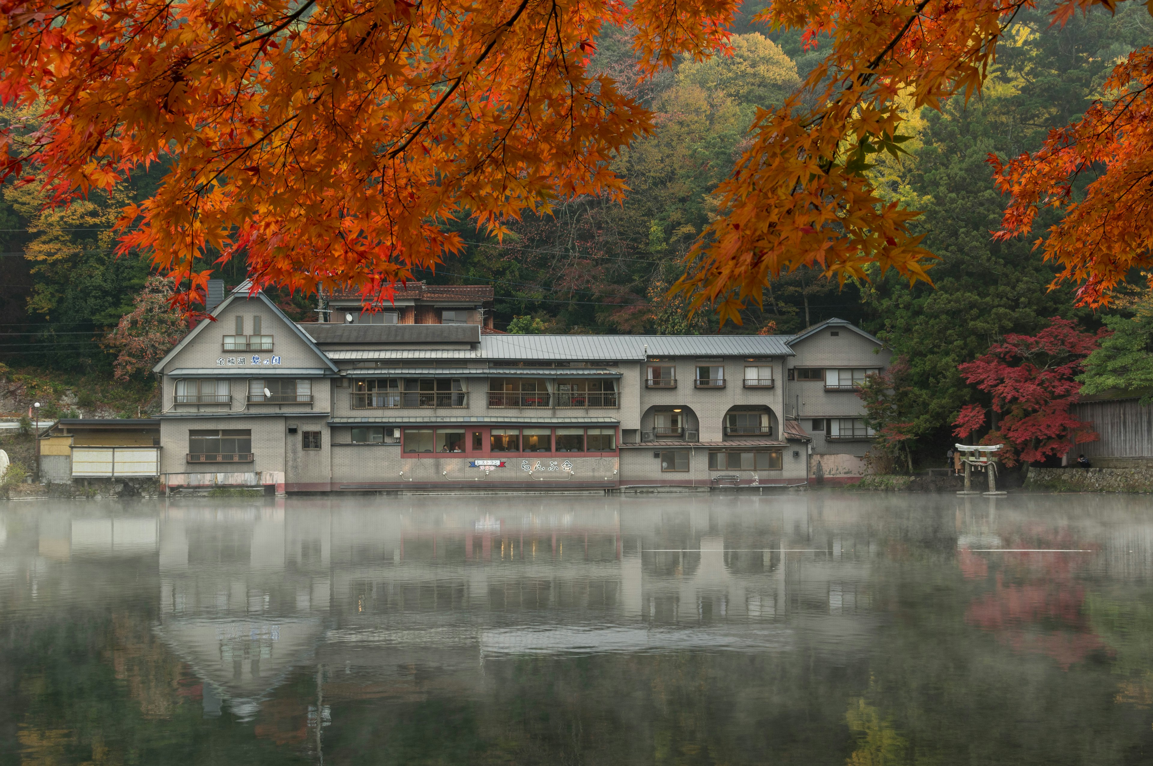 Eine ruhige Unterkunft am See umgeben von Herbstblättern und Nebel