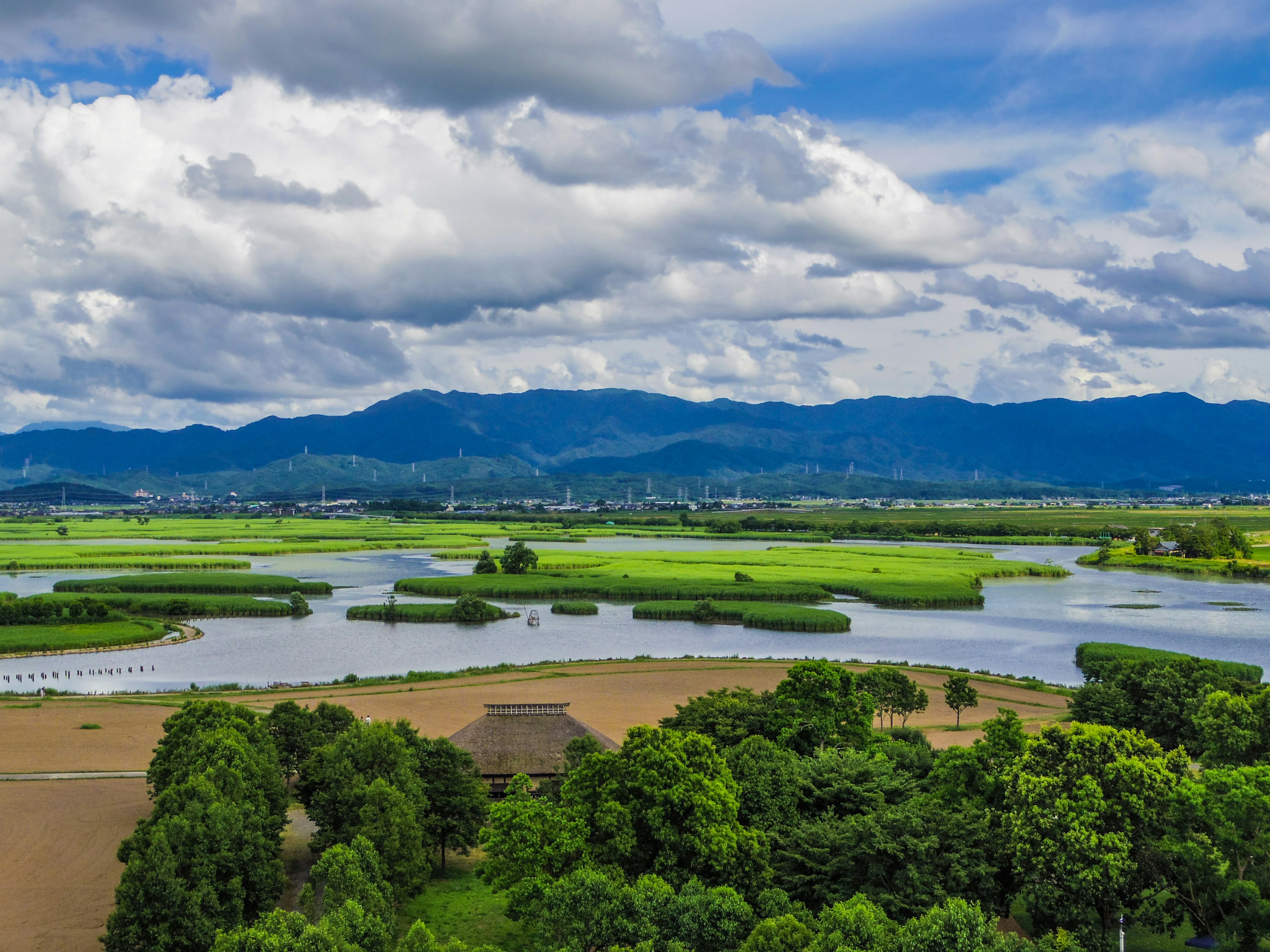 藍天之下郁郁蔥蔥的綠田和山脈的空中視圖