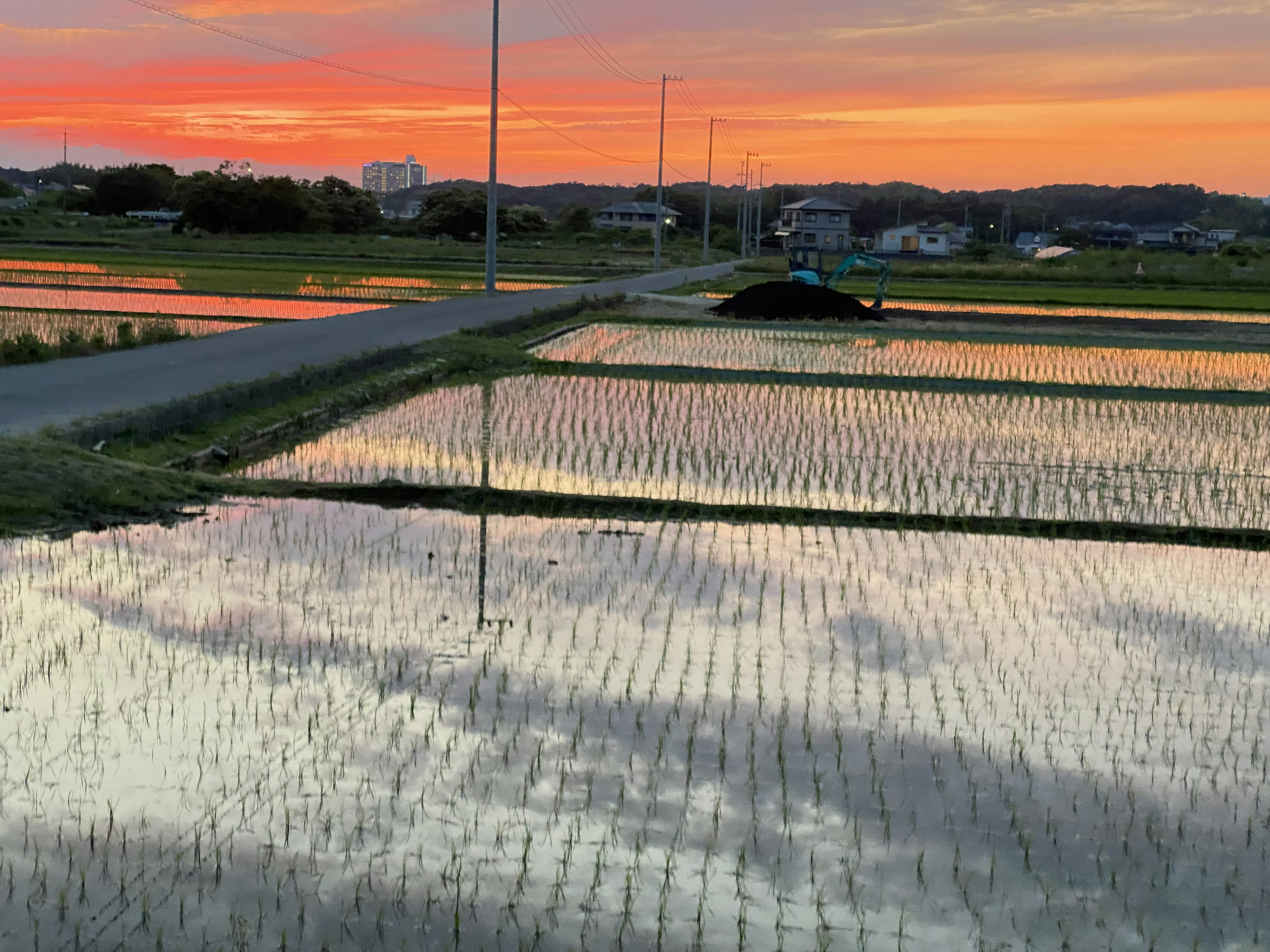 Szenische Aussicht auf Reisfelder, die den Sonnenuntergang und die Straße reflektieren