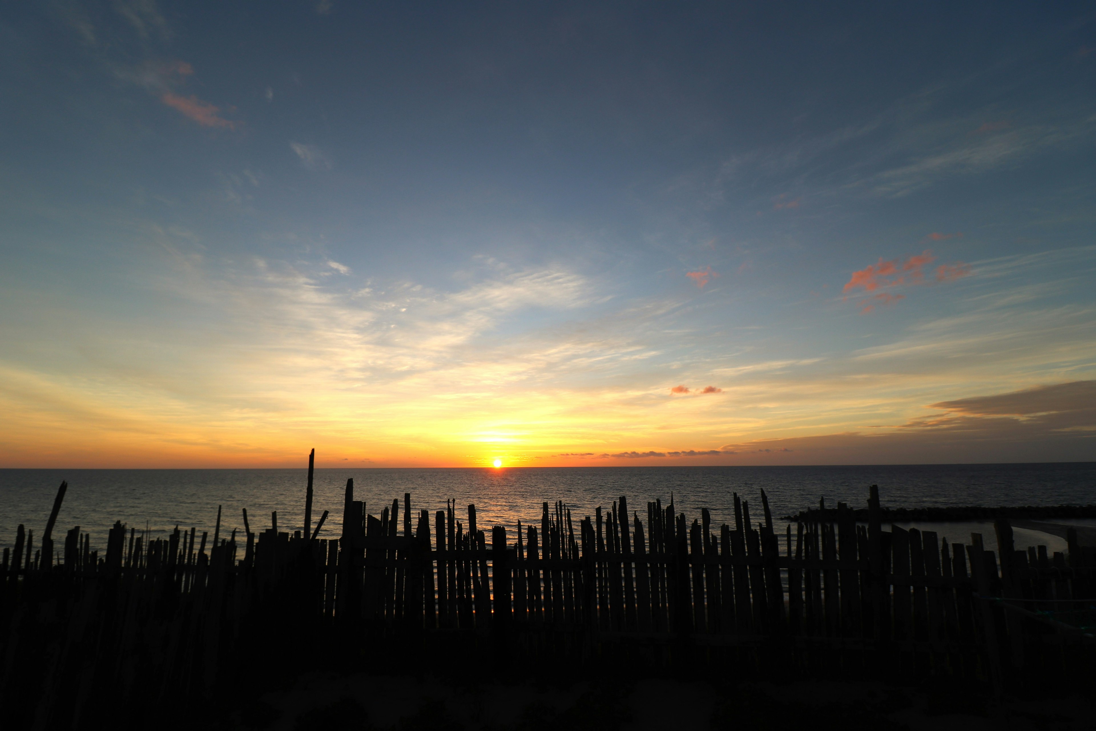 Schöner Sonnenuntergang über dem Meer mit silhouettierten Bambusstangen