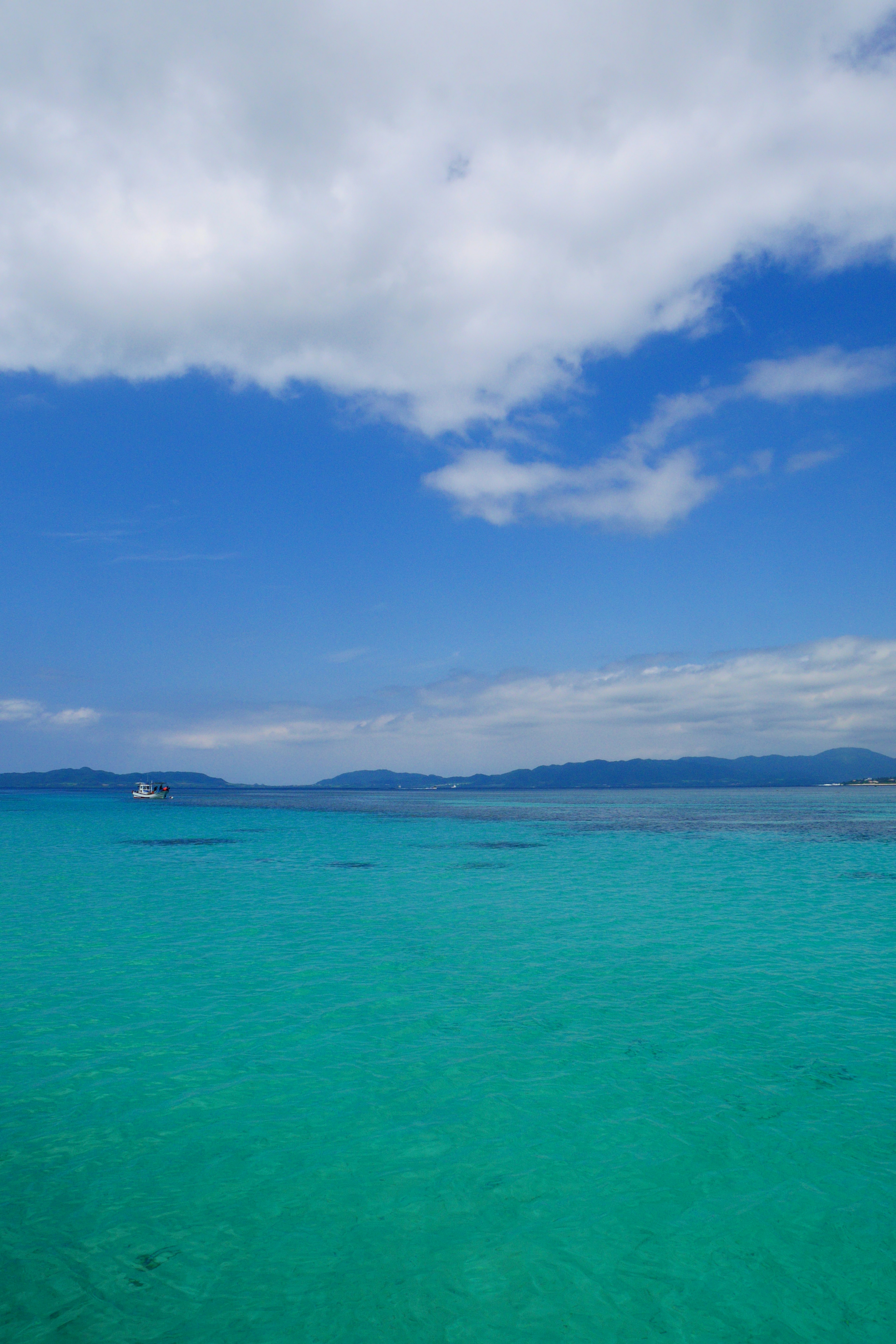 青い空と緑の海が広がる美しい風景