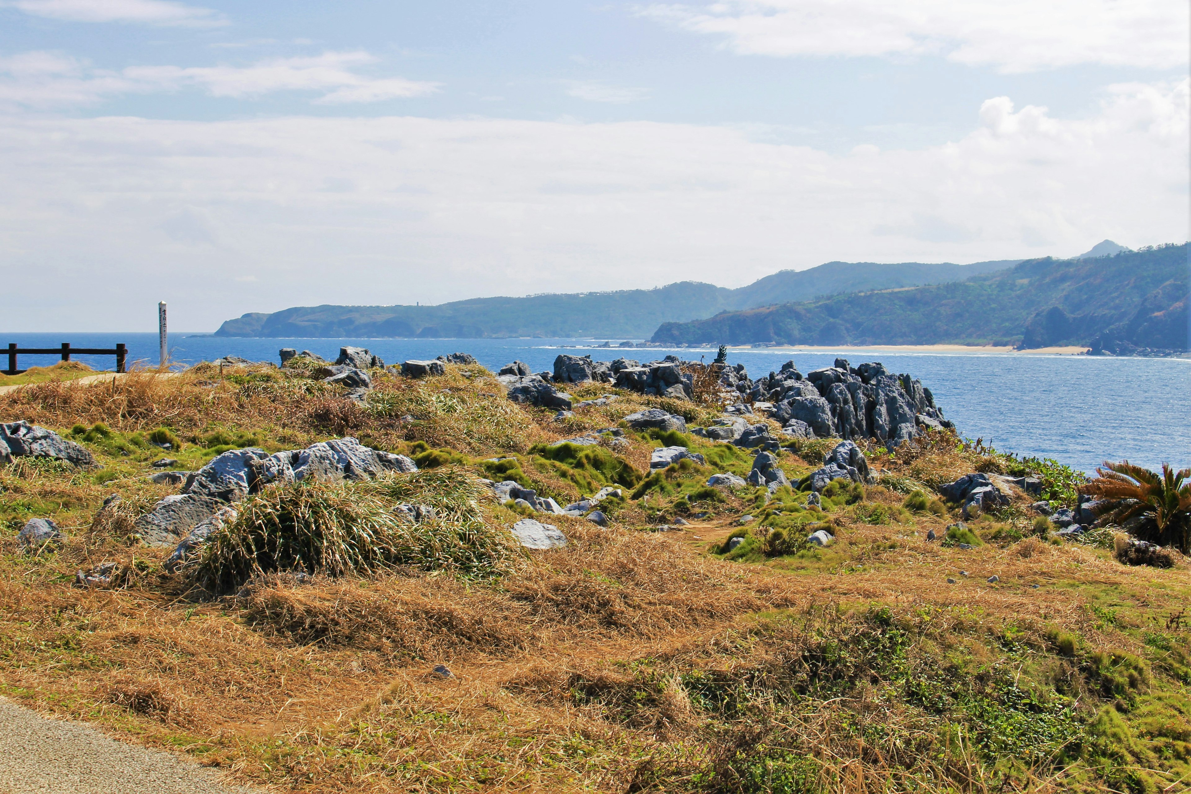 Escenario costero con rocas y praderas y una costa lejana