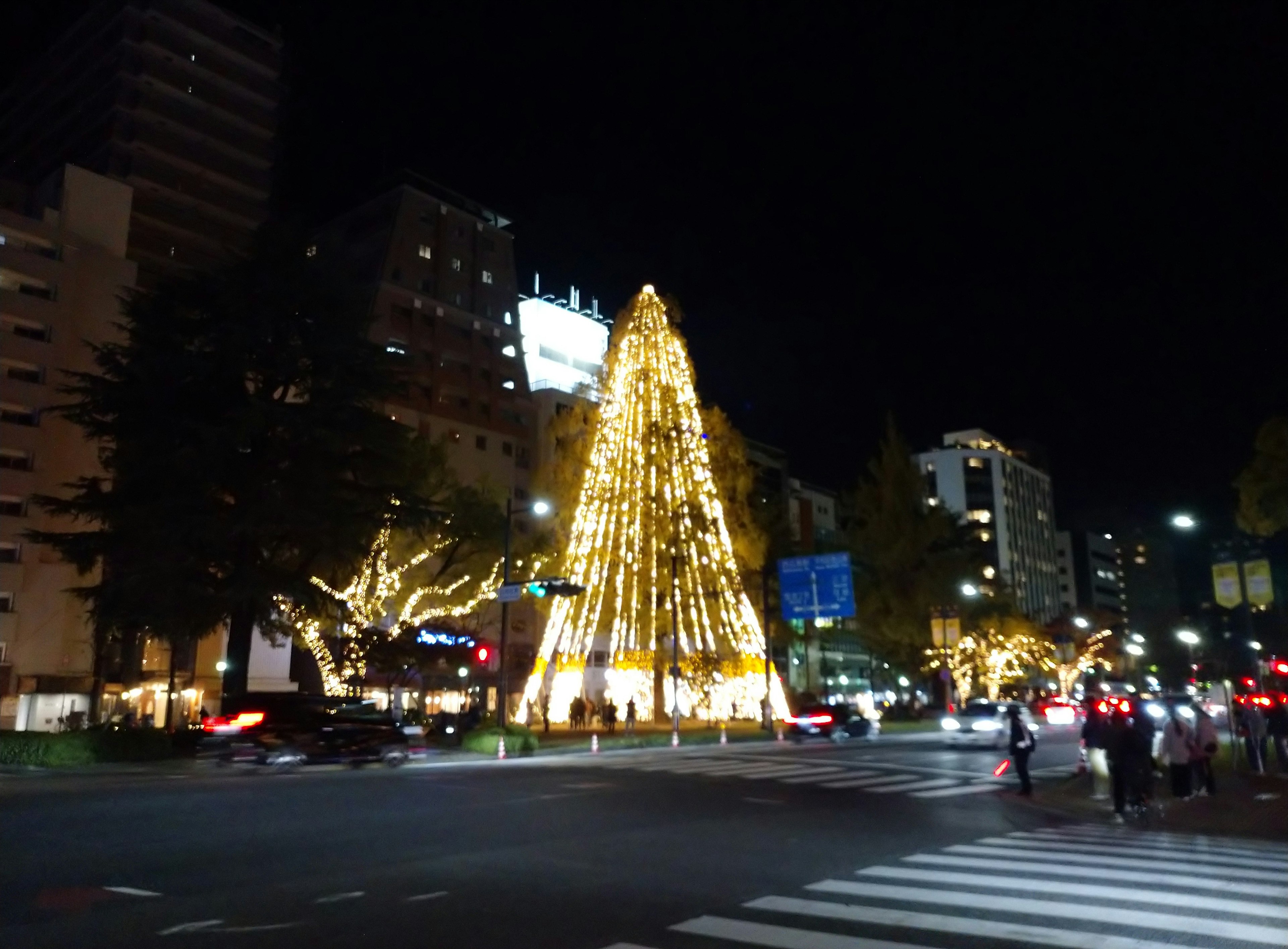 Cây thông Noel sáng đèn vào ban đêm với ánh đèn thành phố xung quanh