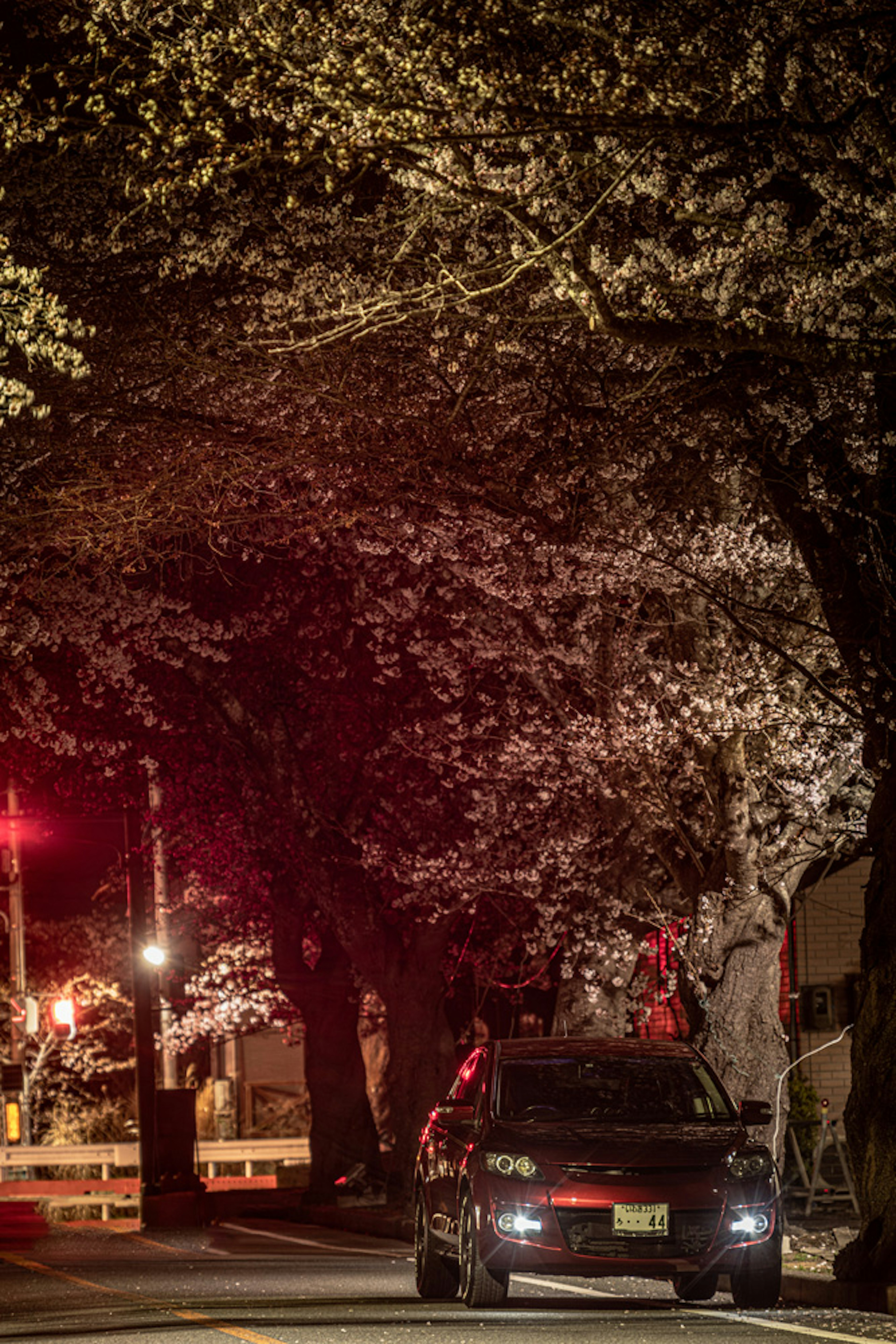 A black car parked under cherry blossom trees at night with red traffic lights