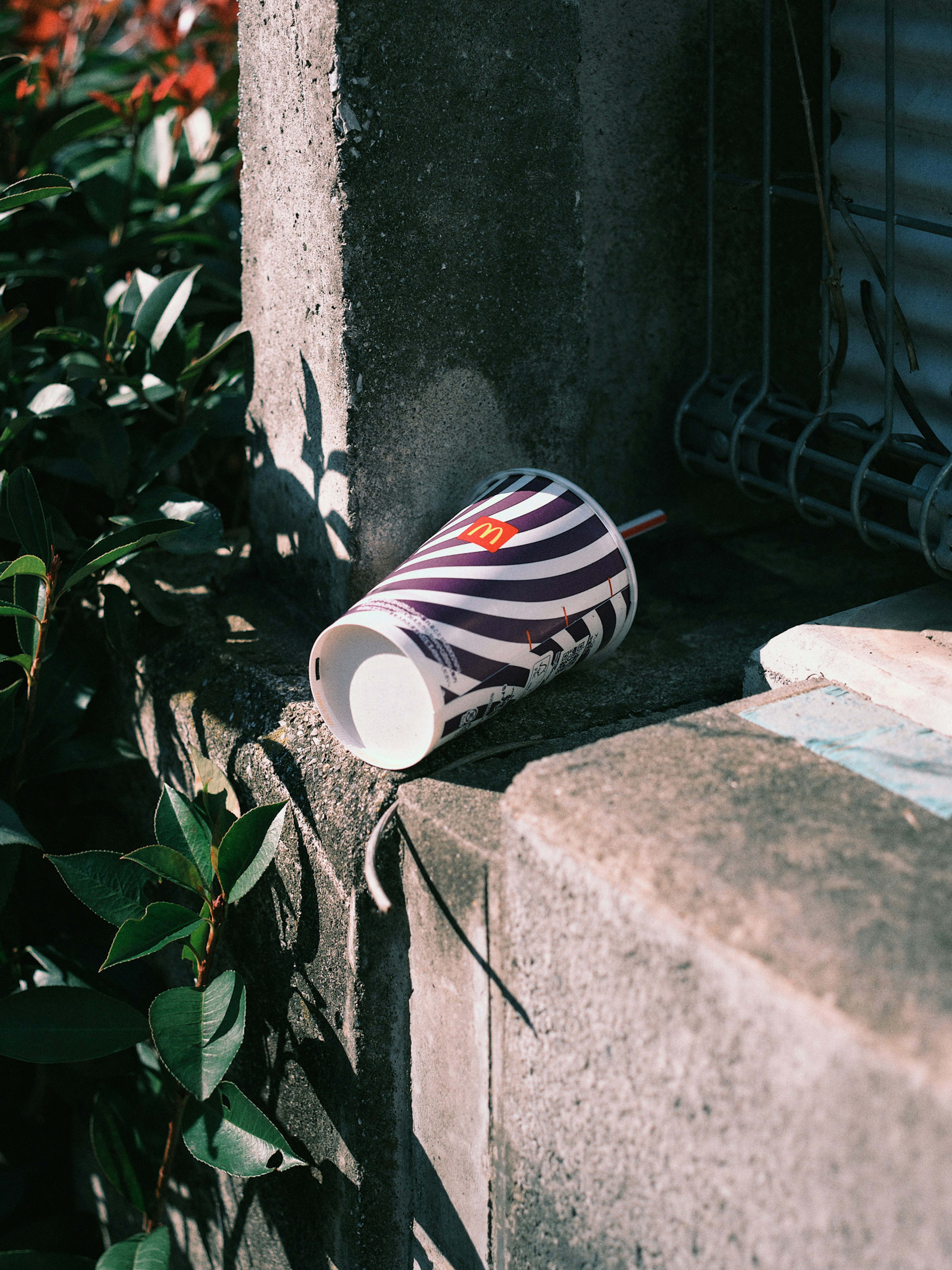 Un gobelet rayé violet et blanc couché sur un rebord en pierre avec un feuillage vert