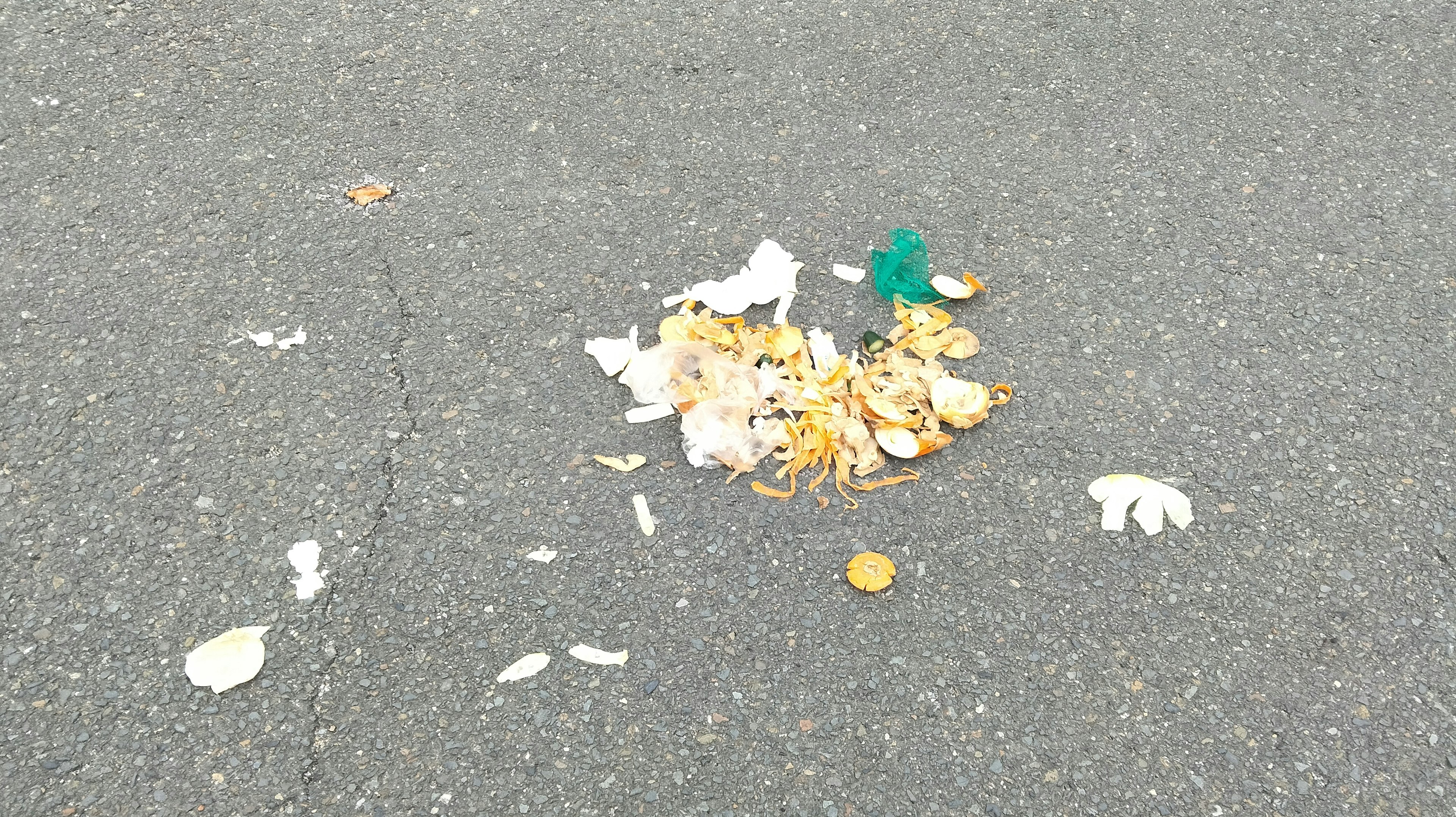 Un montón de basura y hojas caídas en la acera