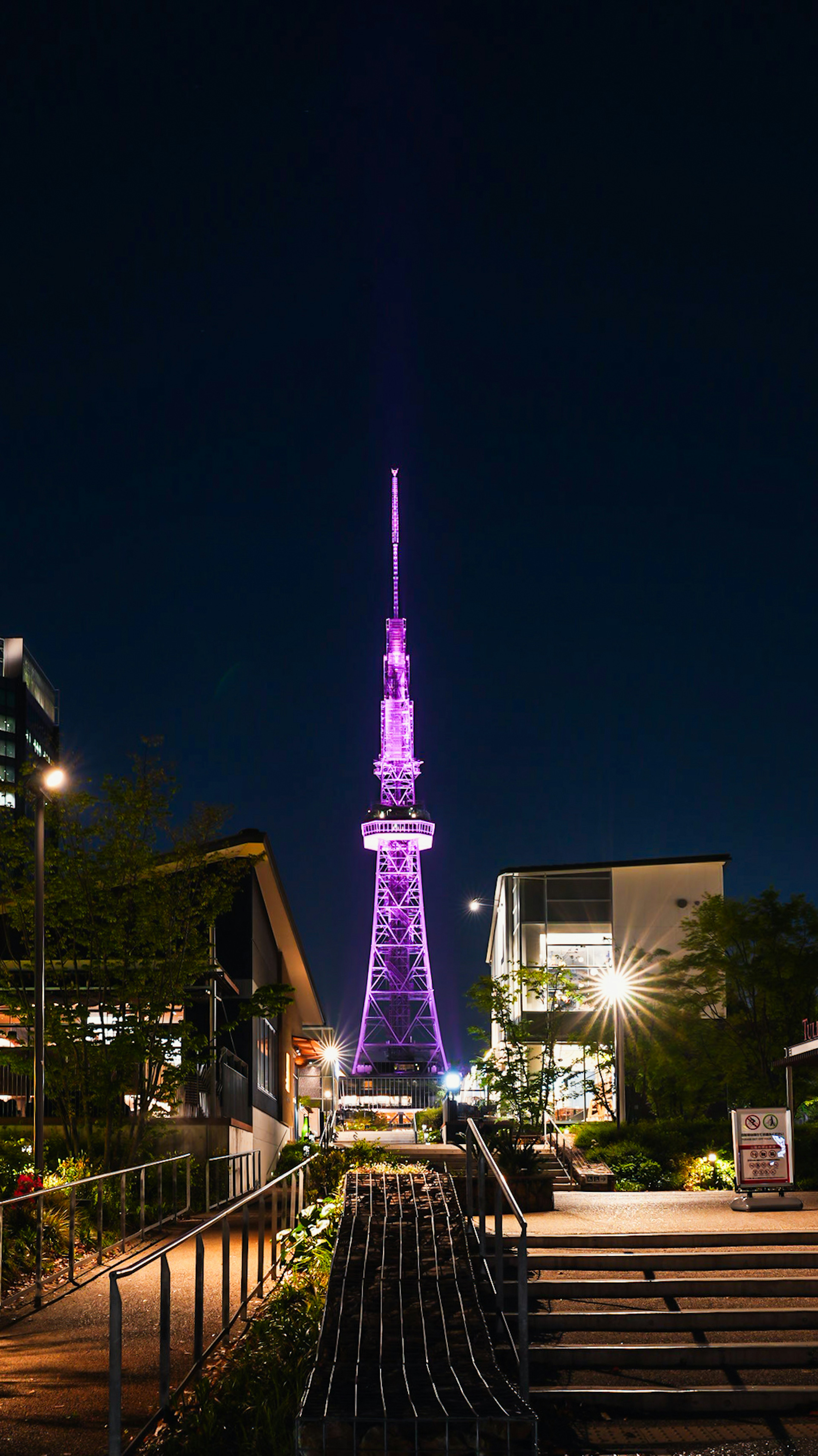 夜に紫色に照らされた東京タワーの美しい景色