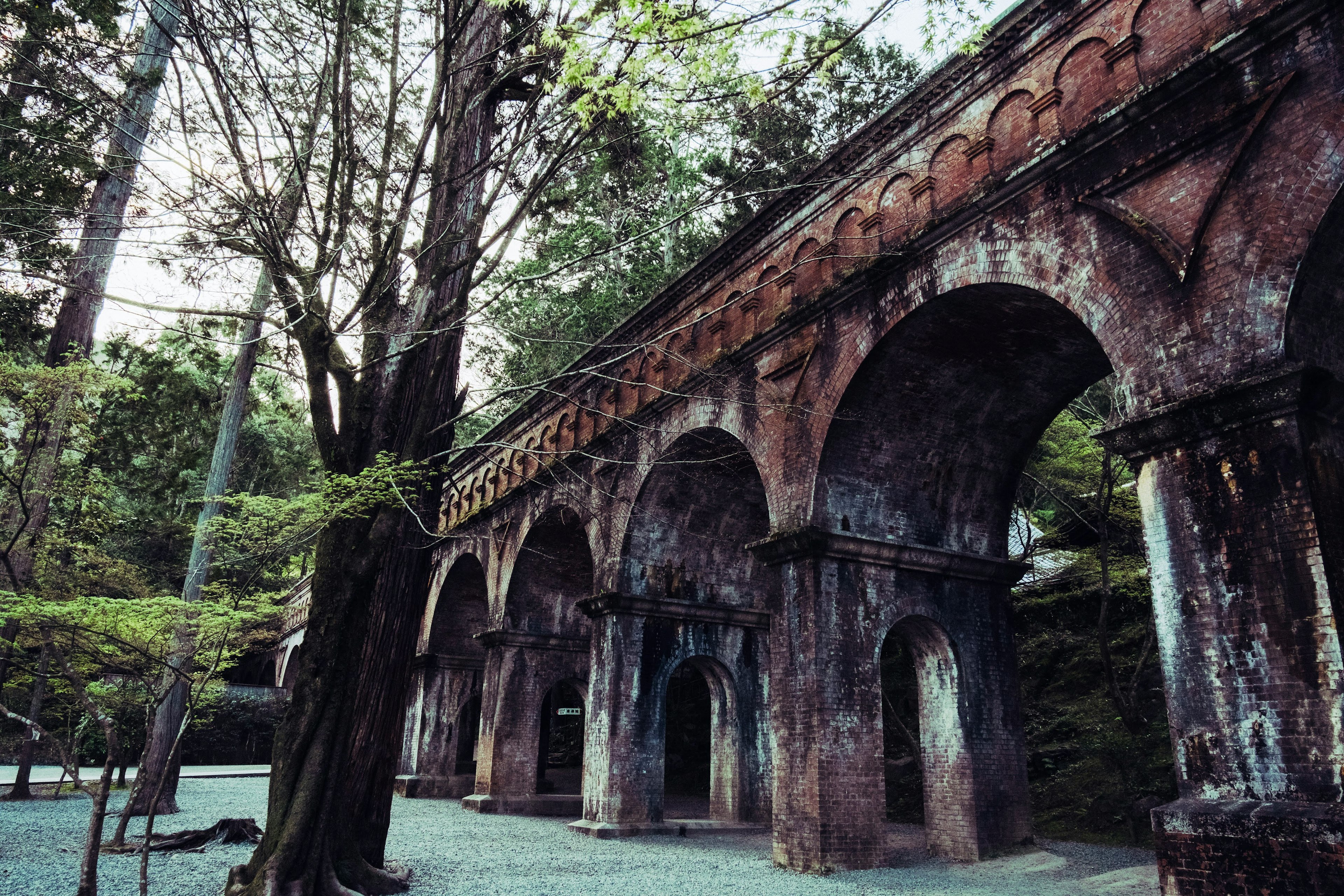 古いアーチ型の構造物と緑豊かな木々の風景